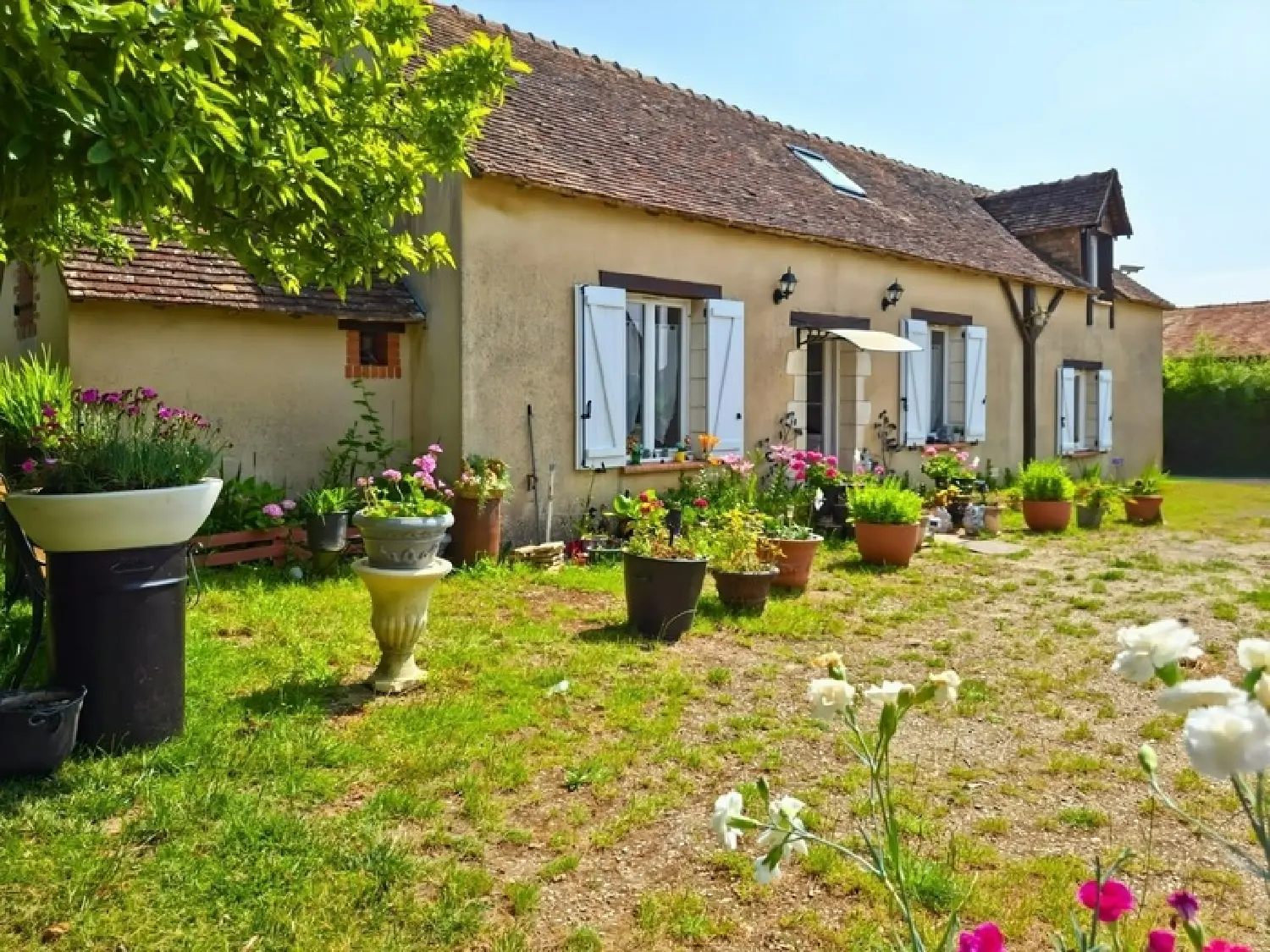  en venta casa rústica Saint-Aignan Sarthe 3