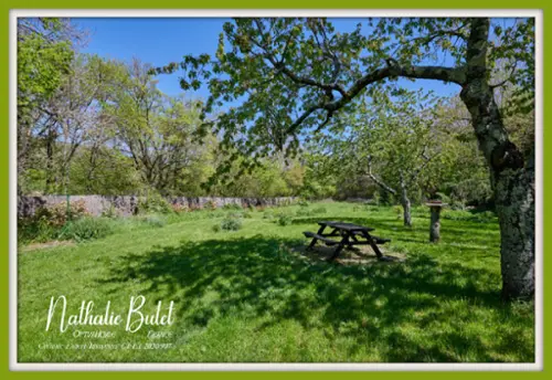  for sale farm Saint-Chinian Hérault 6