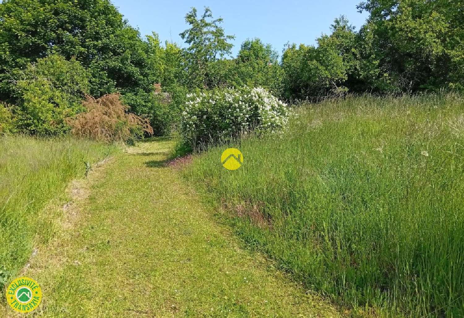  for sale farm Saint-Valérien Yonne 8
