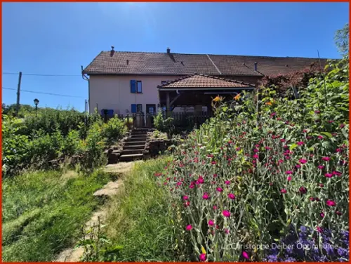 Sturzelbronn Moselle farm foto 7097192