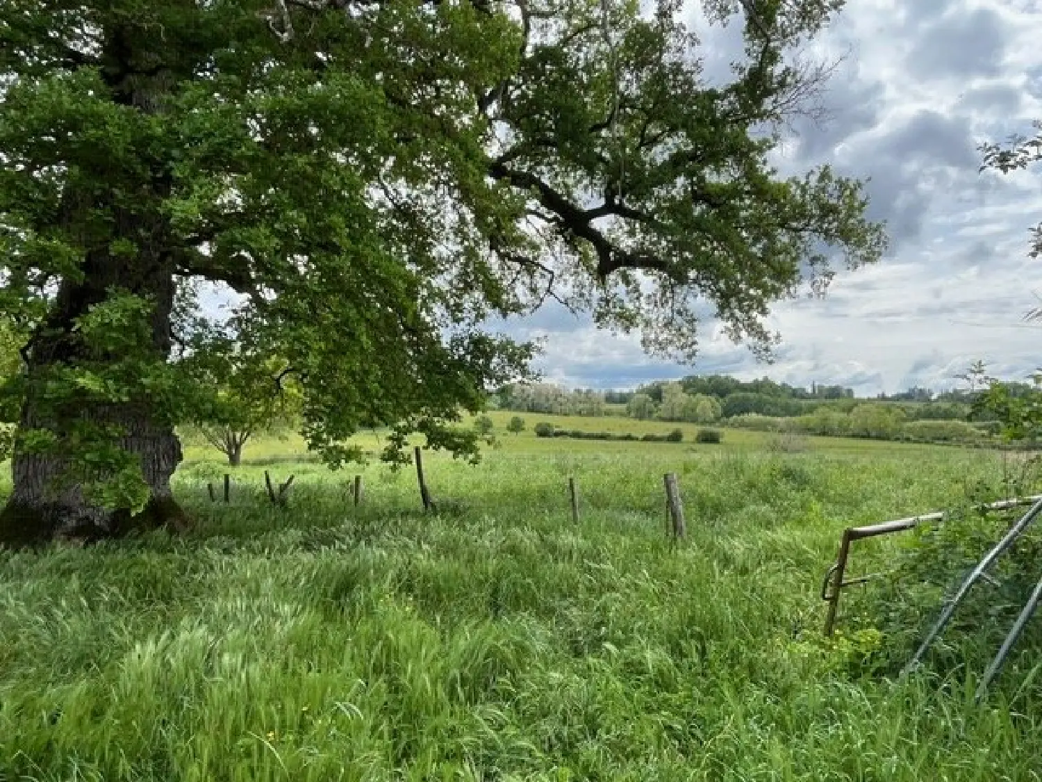  kaufen Bauernhof Vayres Haute-Vienne 5