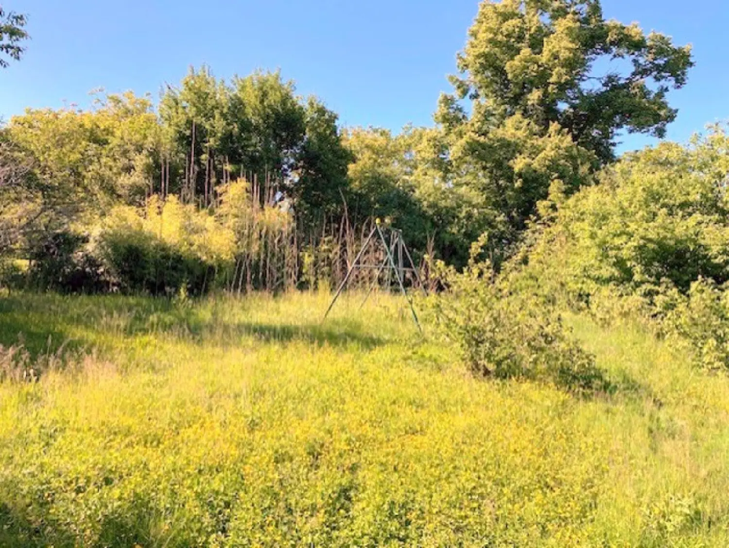  à vendre ferme Villeneuve-l'Archevêque Yonne 3