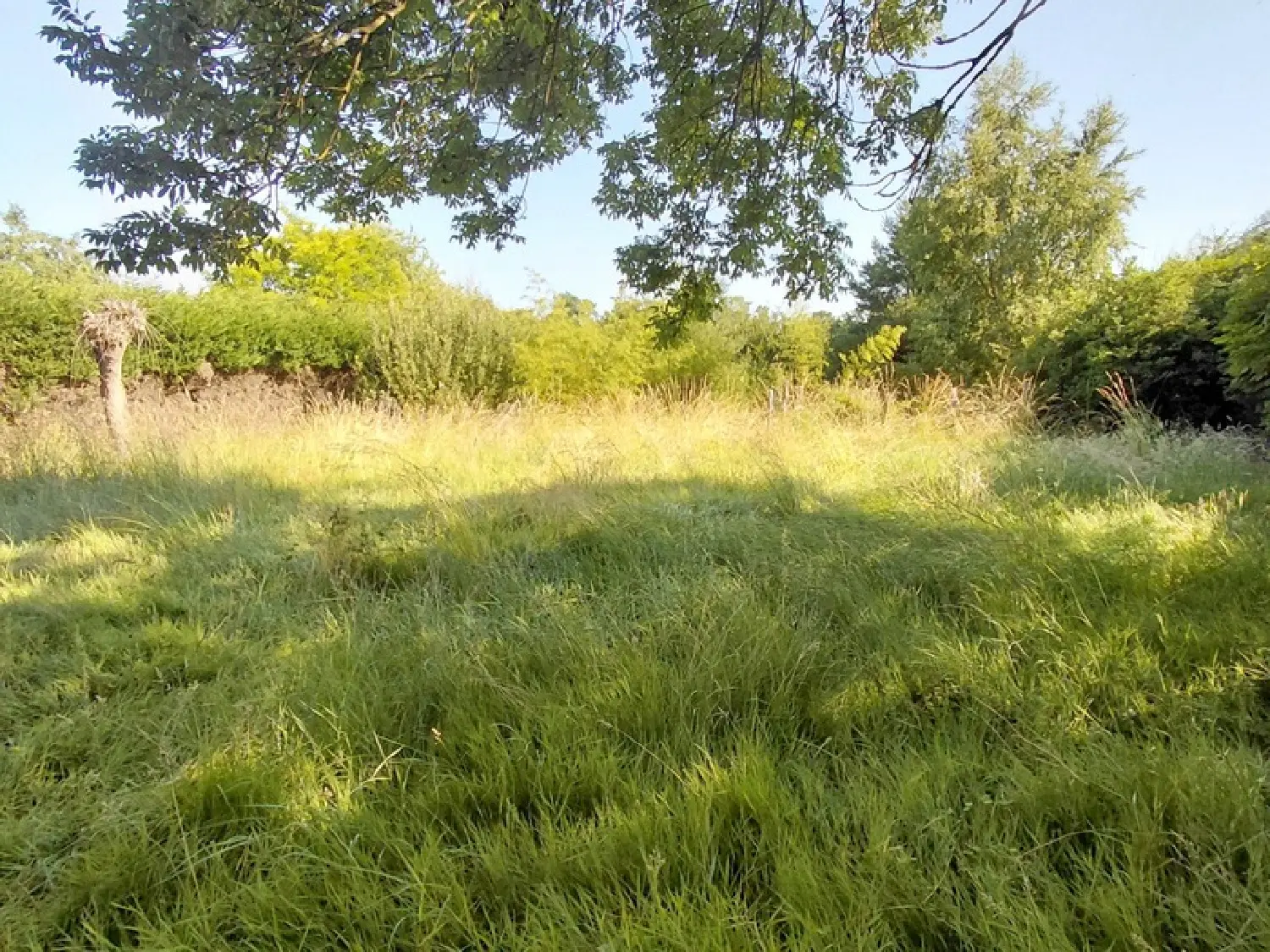  à vendre ferme Villeneuve-Saint-Salves Yonne 8