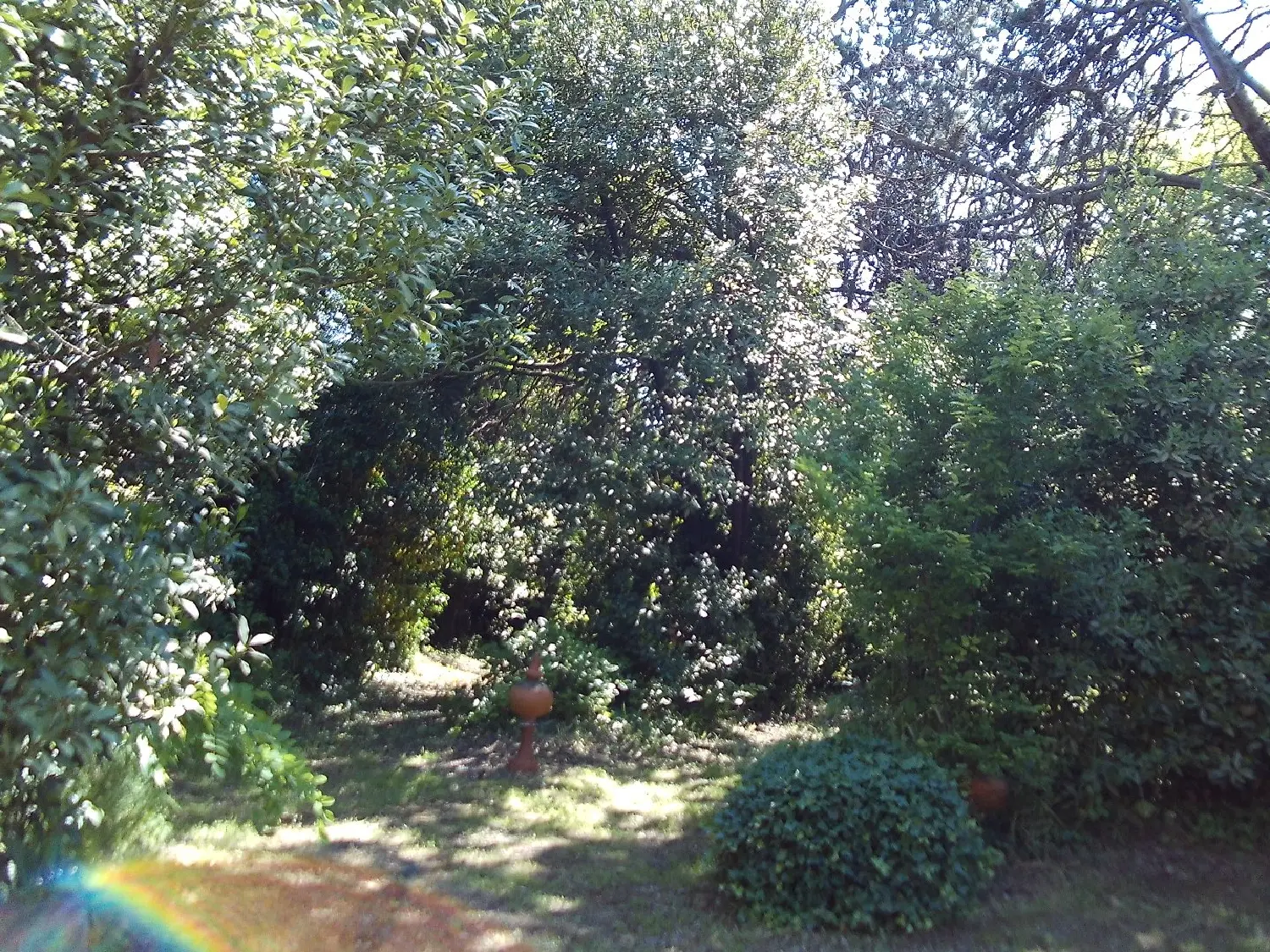 en venta casa Abeilhan Hérault 3