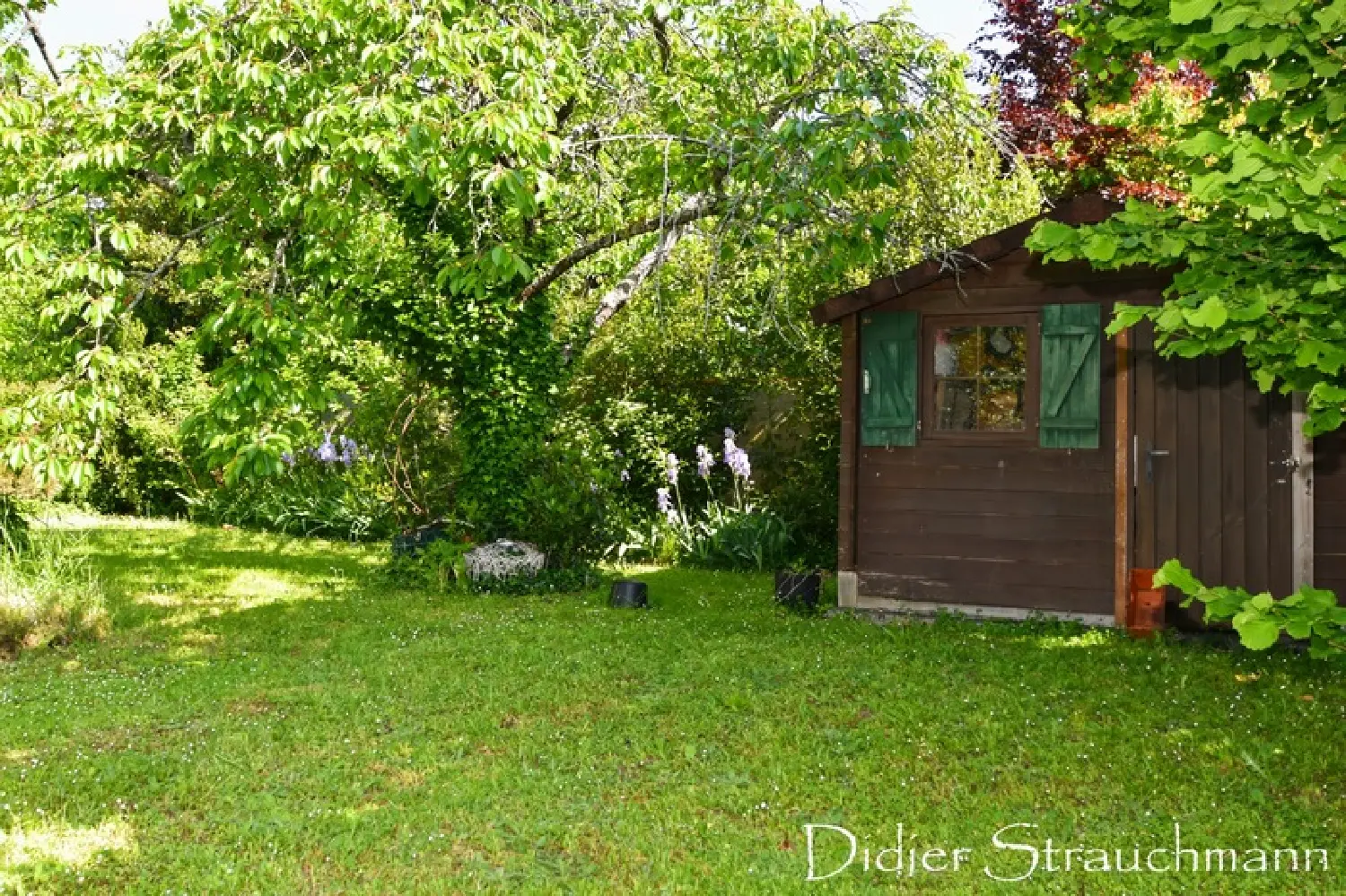 en venta casa Aigrefeuille-d'Aunis Charente-Maritime 3