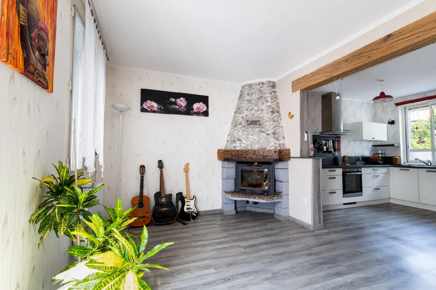  à vendre maison Albi Tarn 3