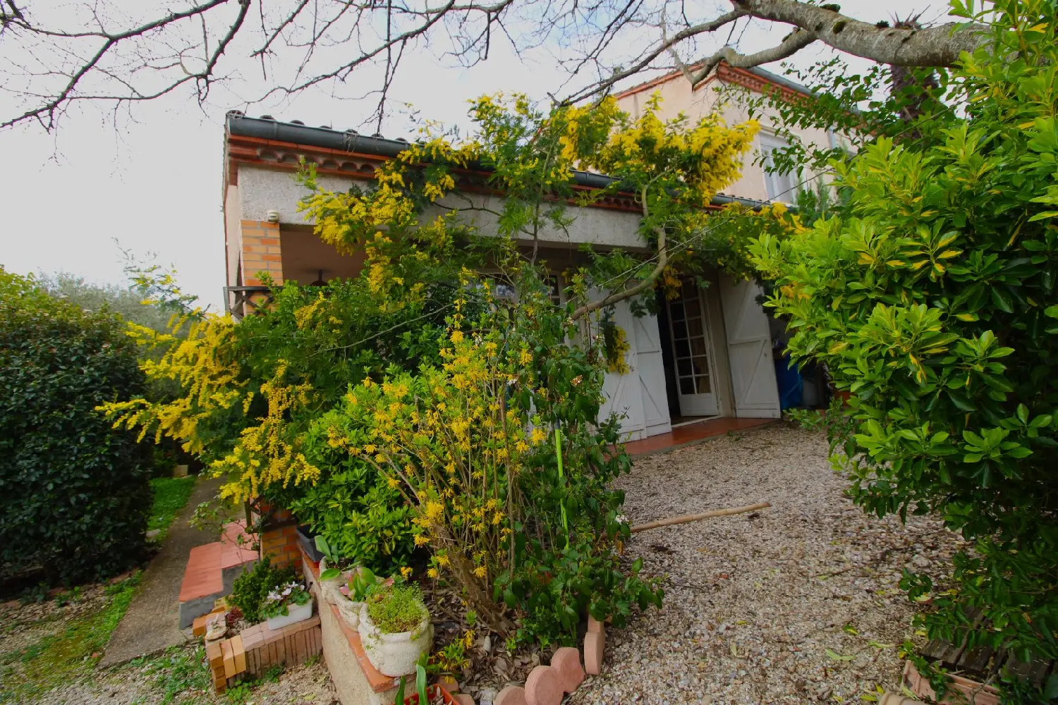  à vendre maison Albi Tarn 3