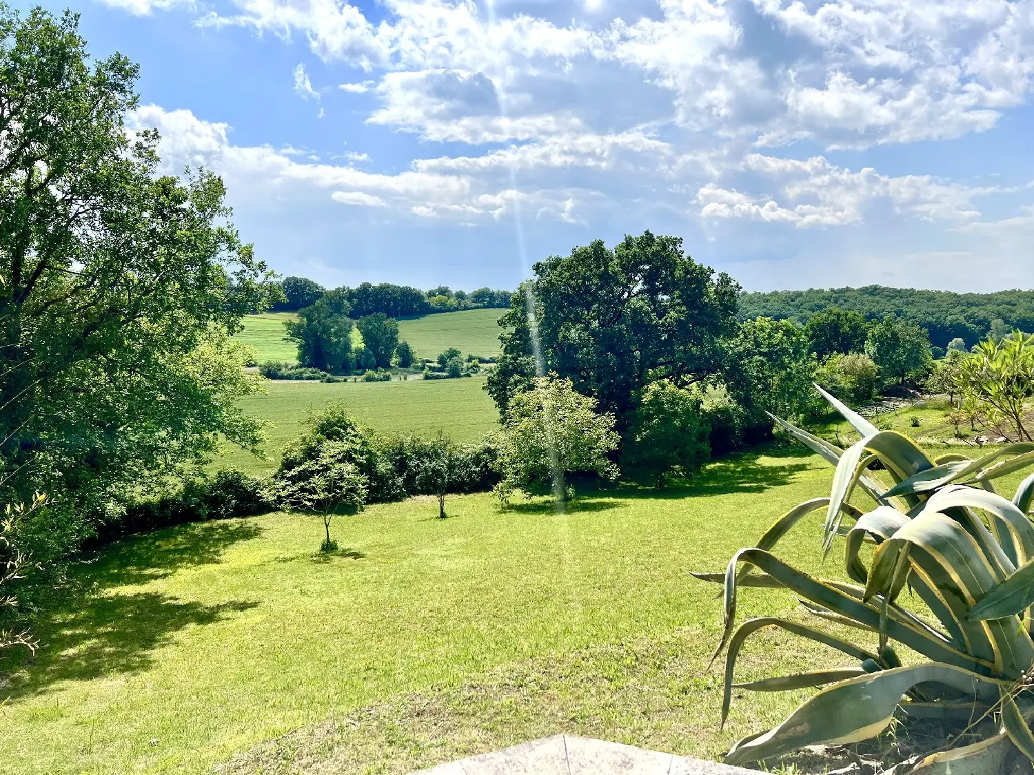  à vendre maison Albi Tarn 4