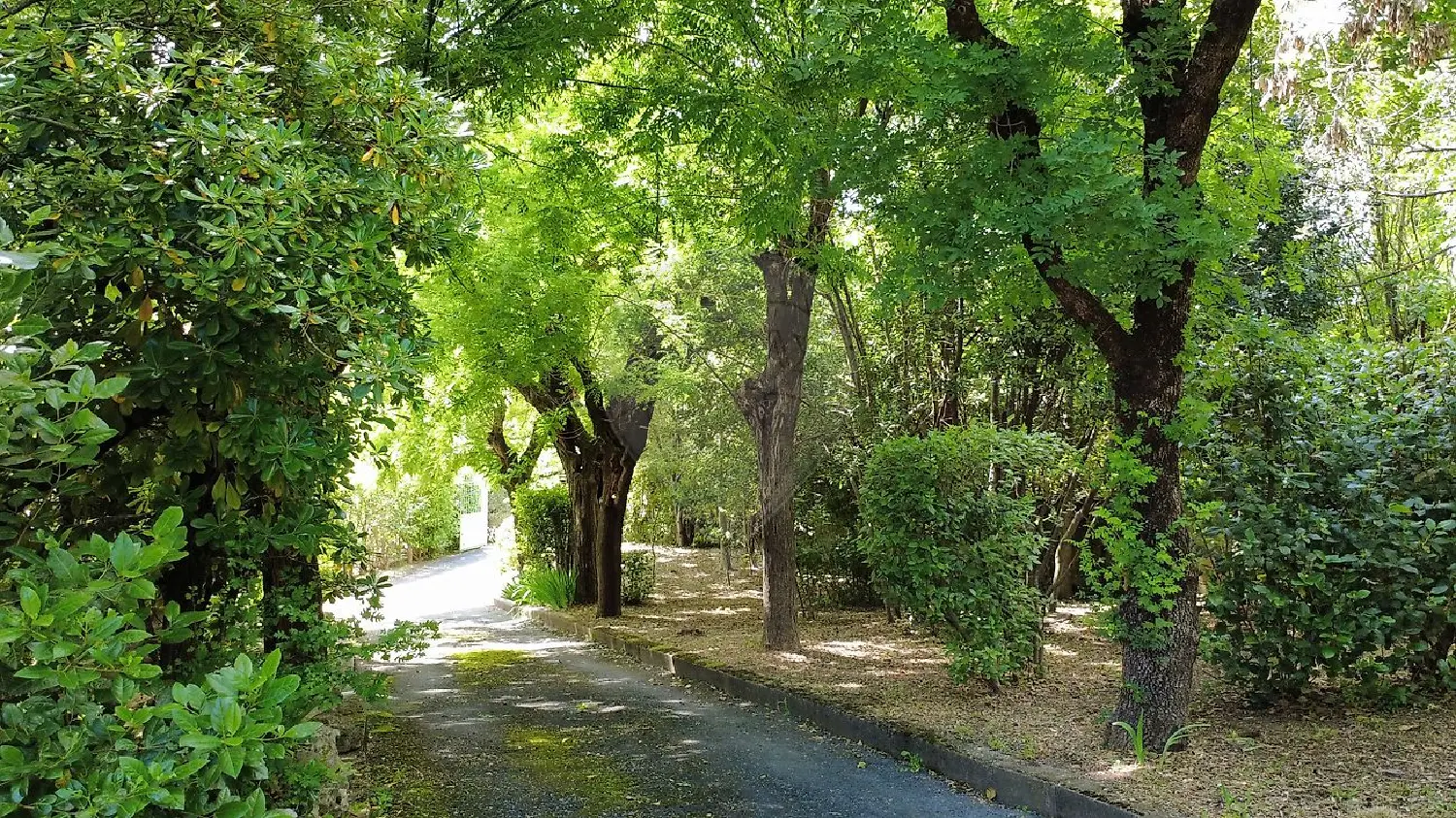  à vendre maison Alès Gard 4