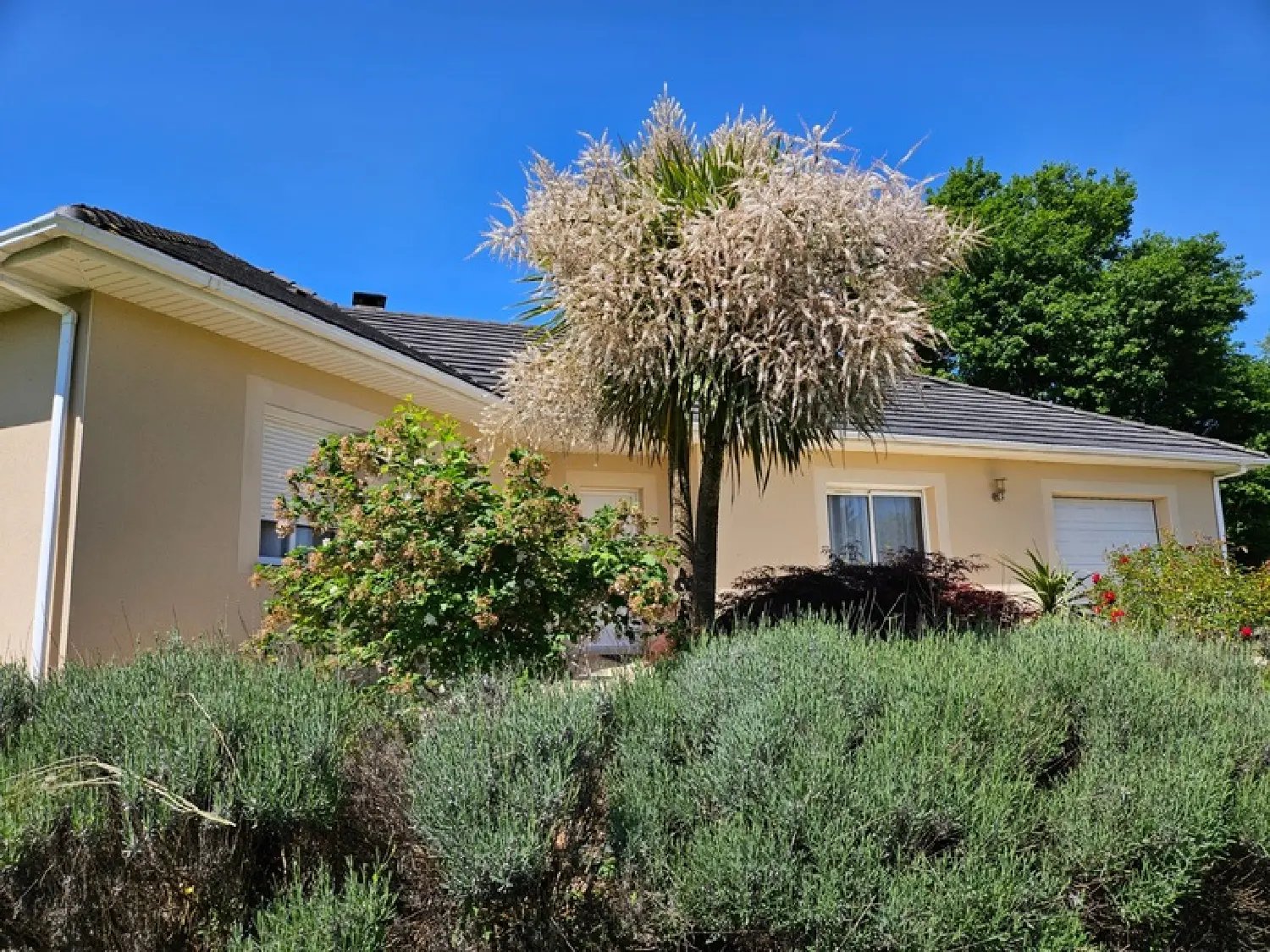  en venta casa Allassac Corrèze 3