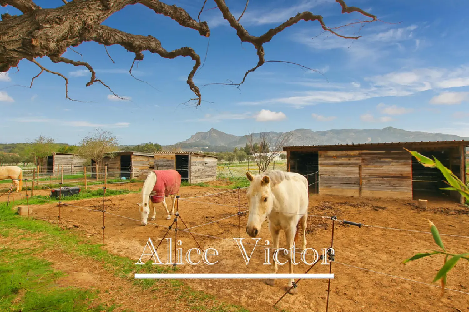 en venta casa Aubagne Bocas del Ródano 2