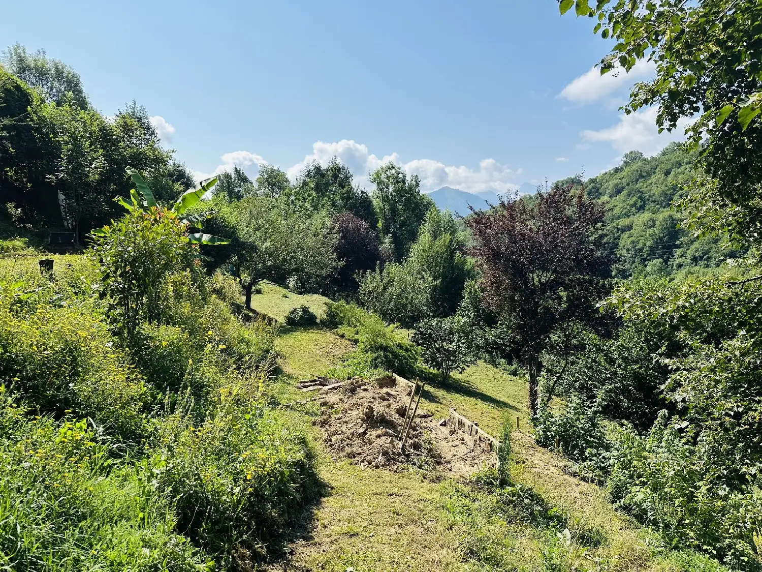  à vendre maison Aulus-les-Bains Ariège 2