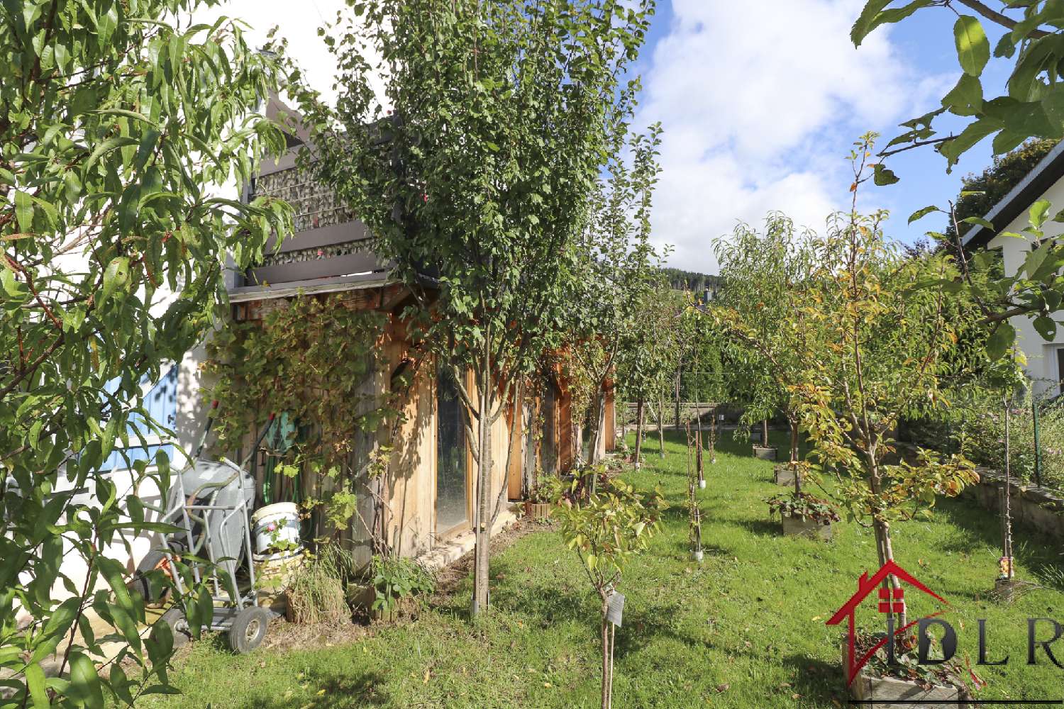  te koop huis Aumontzey Vogezen 8
