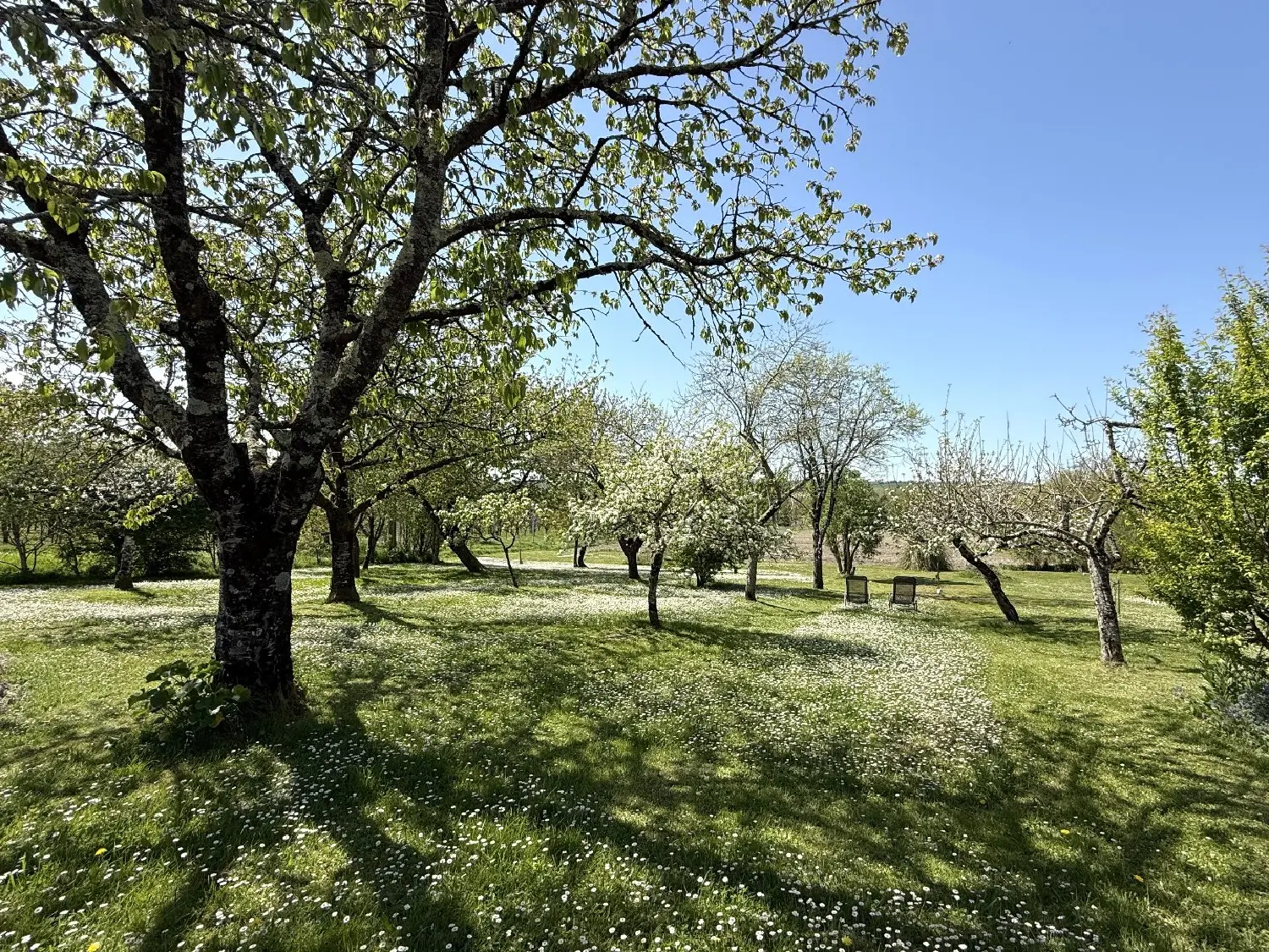  en venta casa Auriac-de-Bourzac Dordoña 4