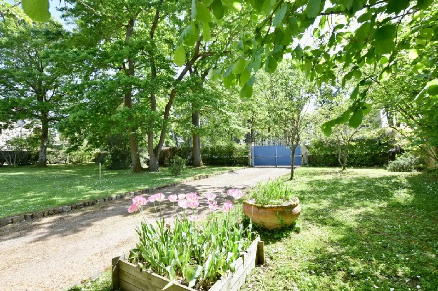 kaufen Haus Avrillé Maine-et-Loire 2