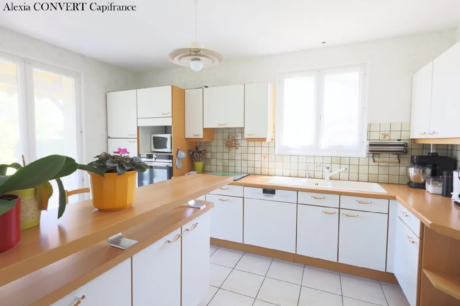  te koop huis Bâgé-la-Ville Ain 2