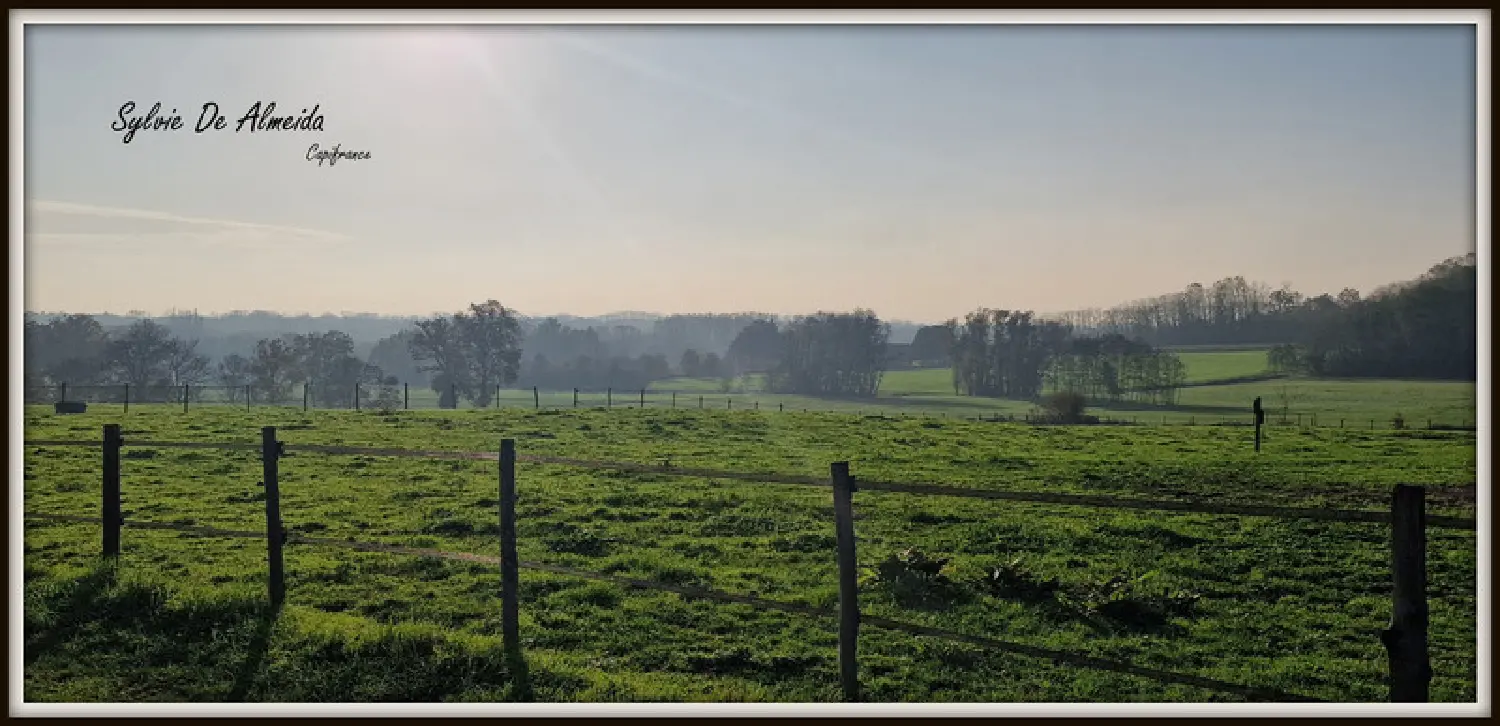  te koop huis Bâgé-la-Ville Ain 3