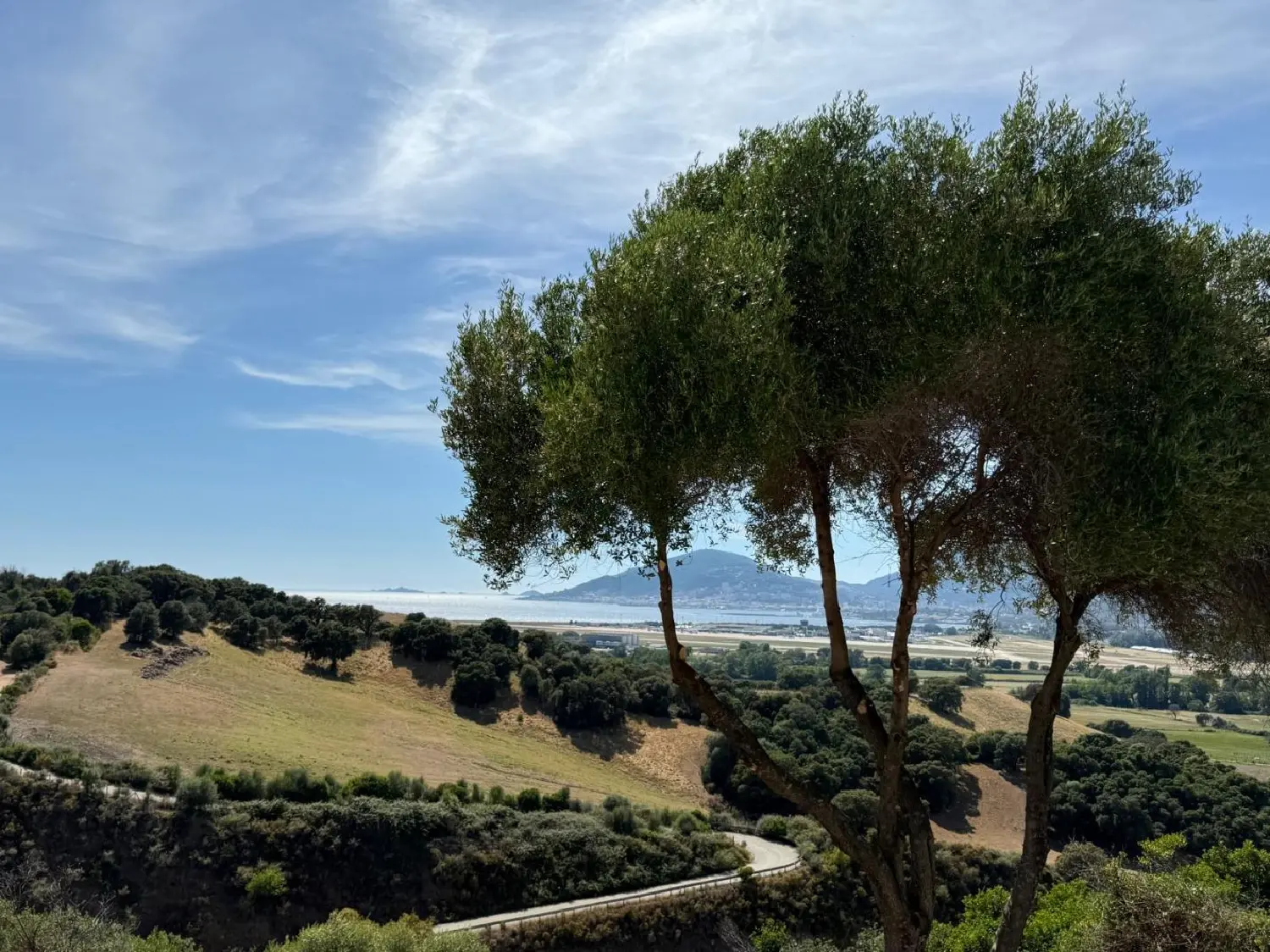  à vendre maison Bastelicaccia Corse-du-Sud 1