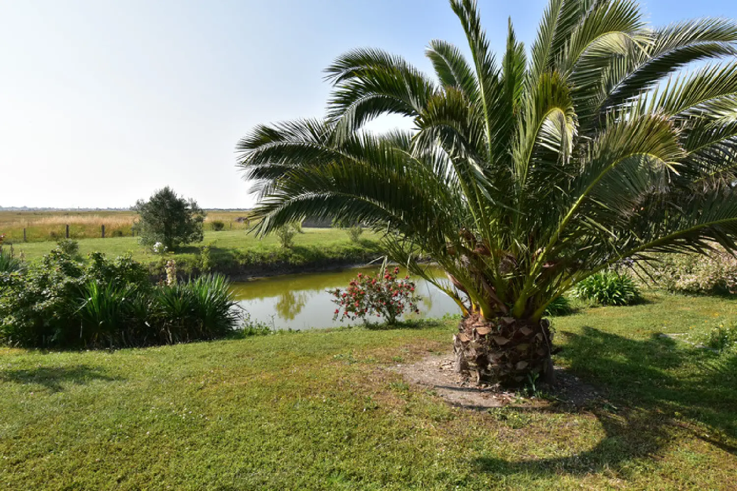  en venta casa Beauvoir-sur-Mer Vendée 2