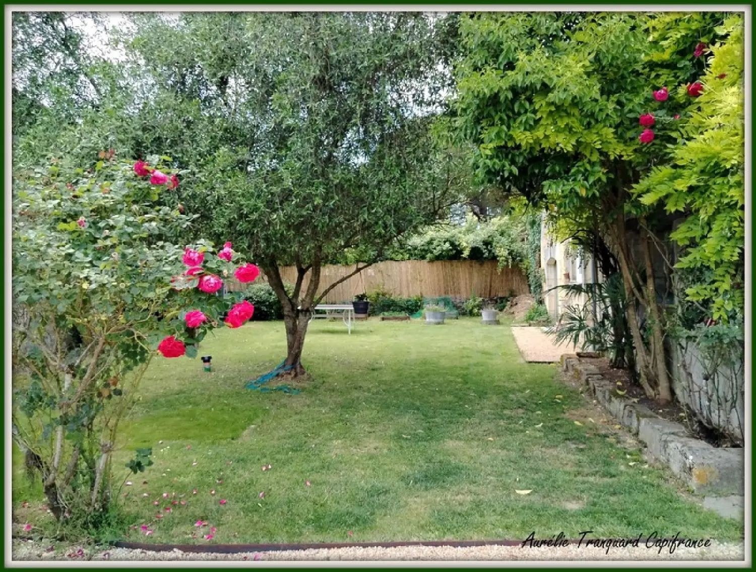  for sale house Bercloux Charente-Maritime 2