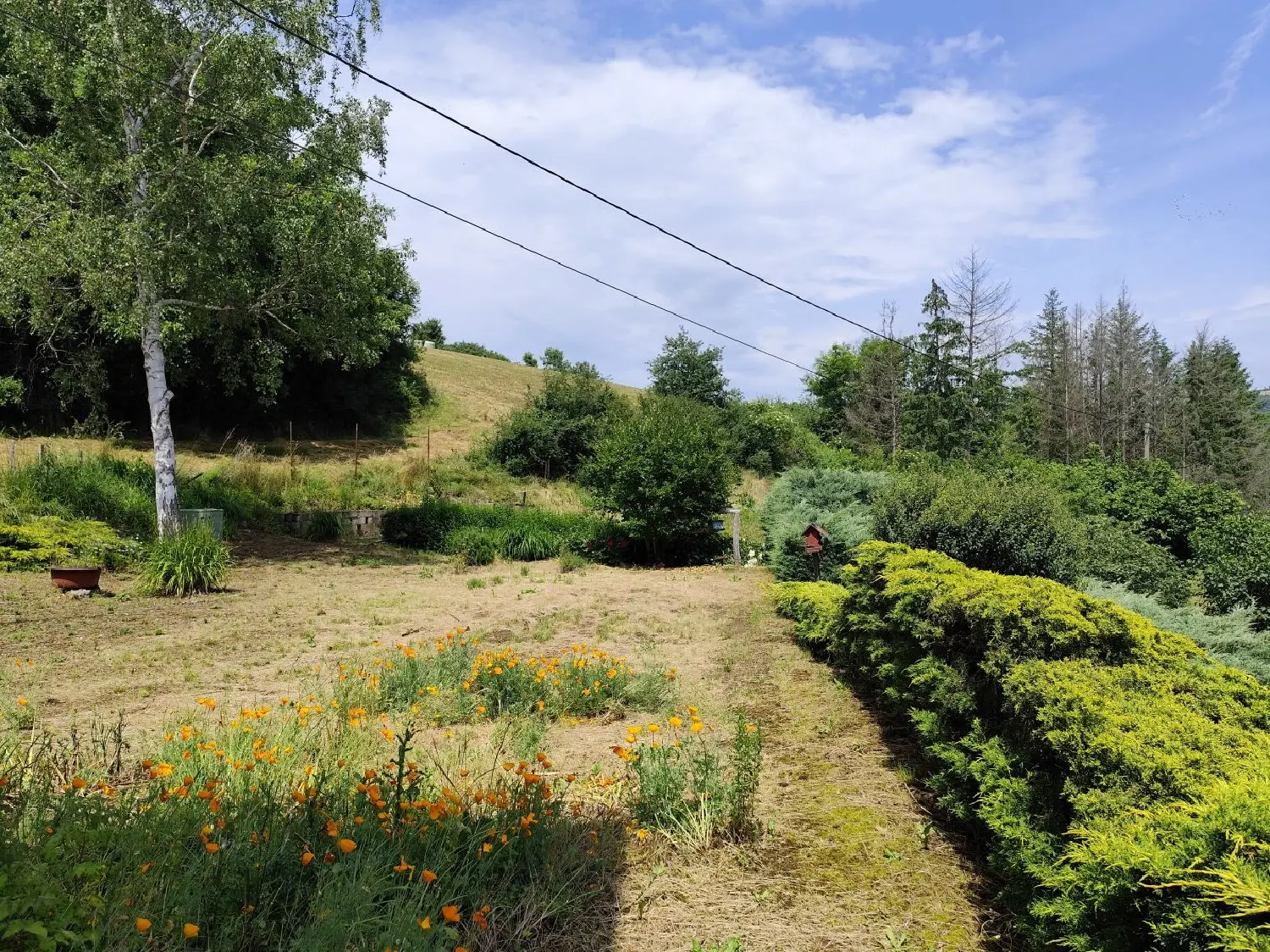 en venta casa Bessenay Rhône 3