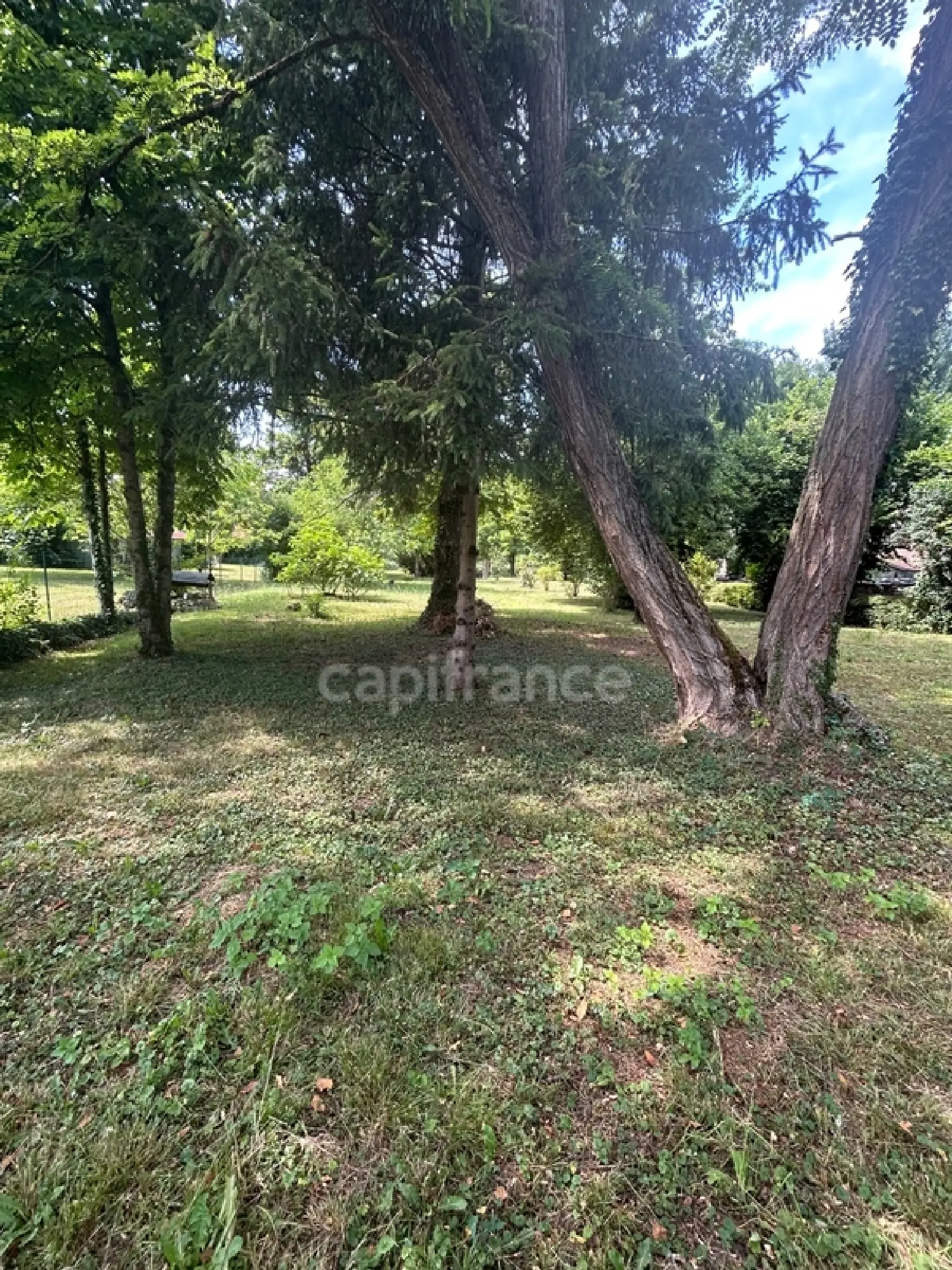  à vendre maison Bléneau Yonne 1
