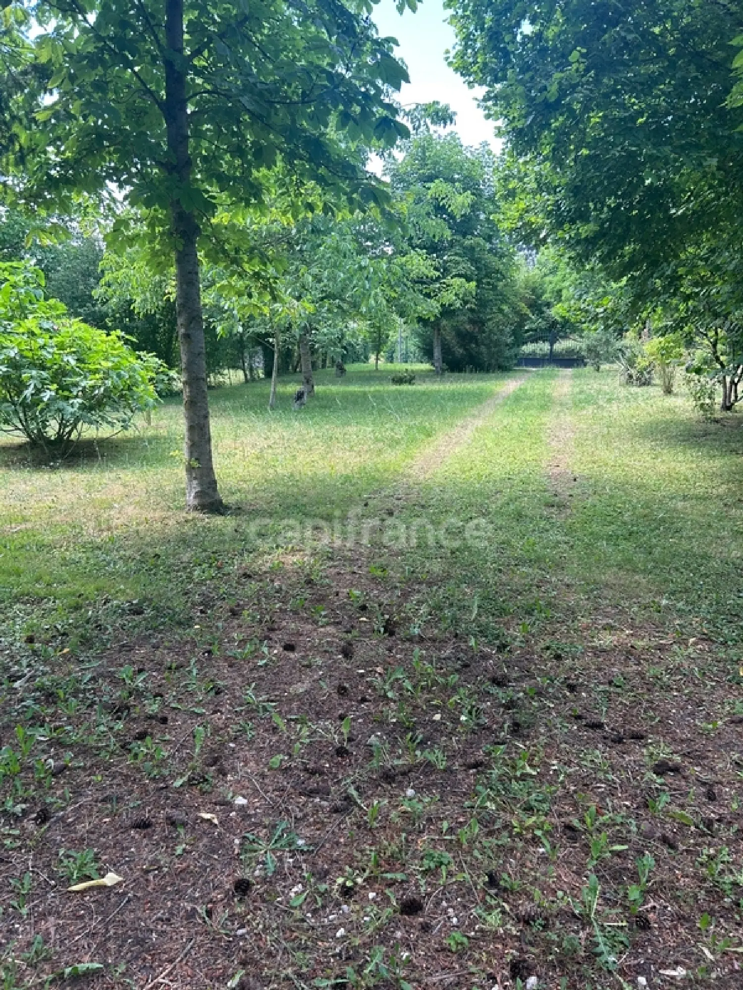  à vendre maison Bléneau Yonne 2