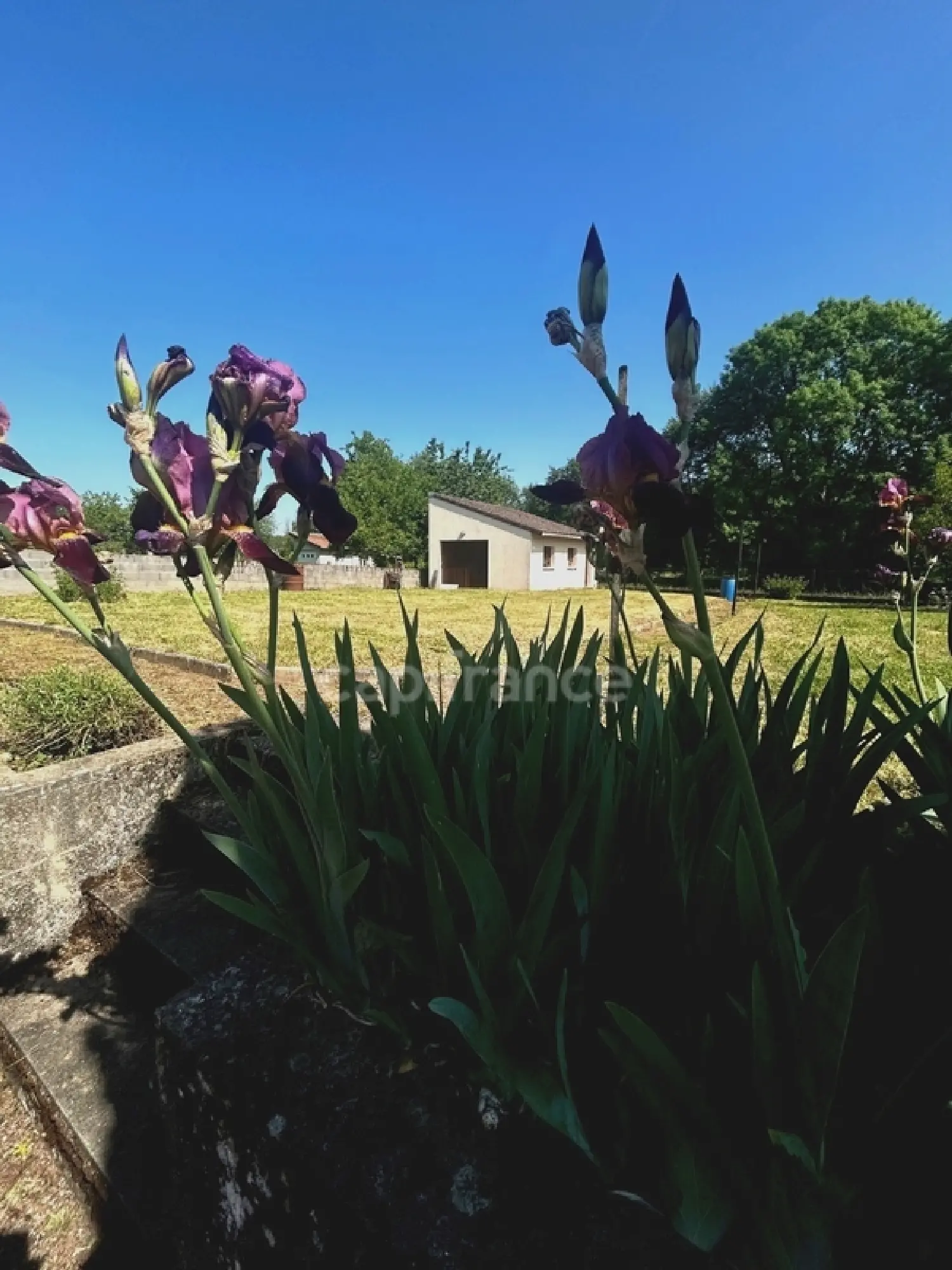  à vendre maison Bléneau Yonne 2
