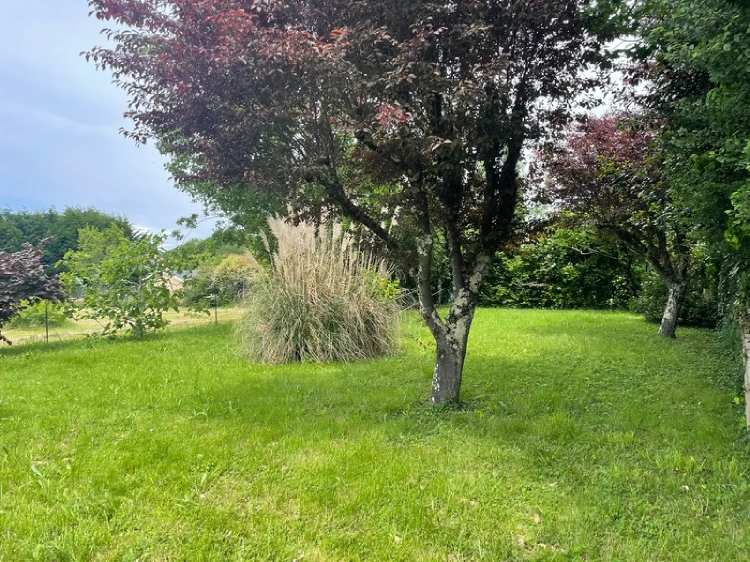  kaufen Haus Bouloc Haute-Garonne 3