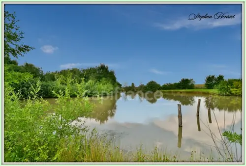 Boult-aux-Bois Ardennes maison foto 7099931