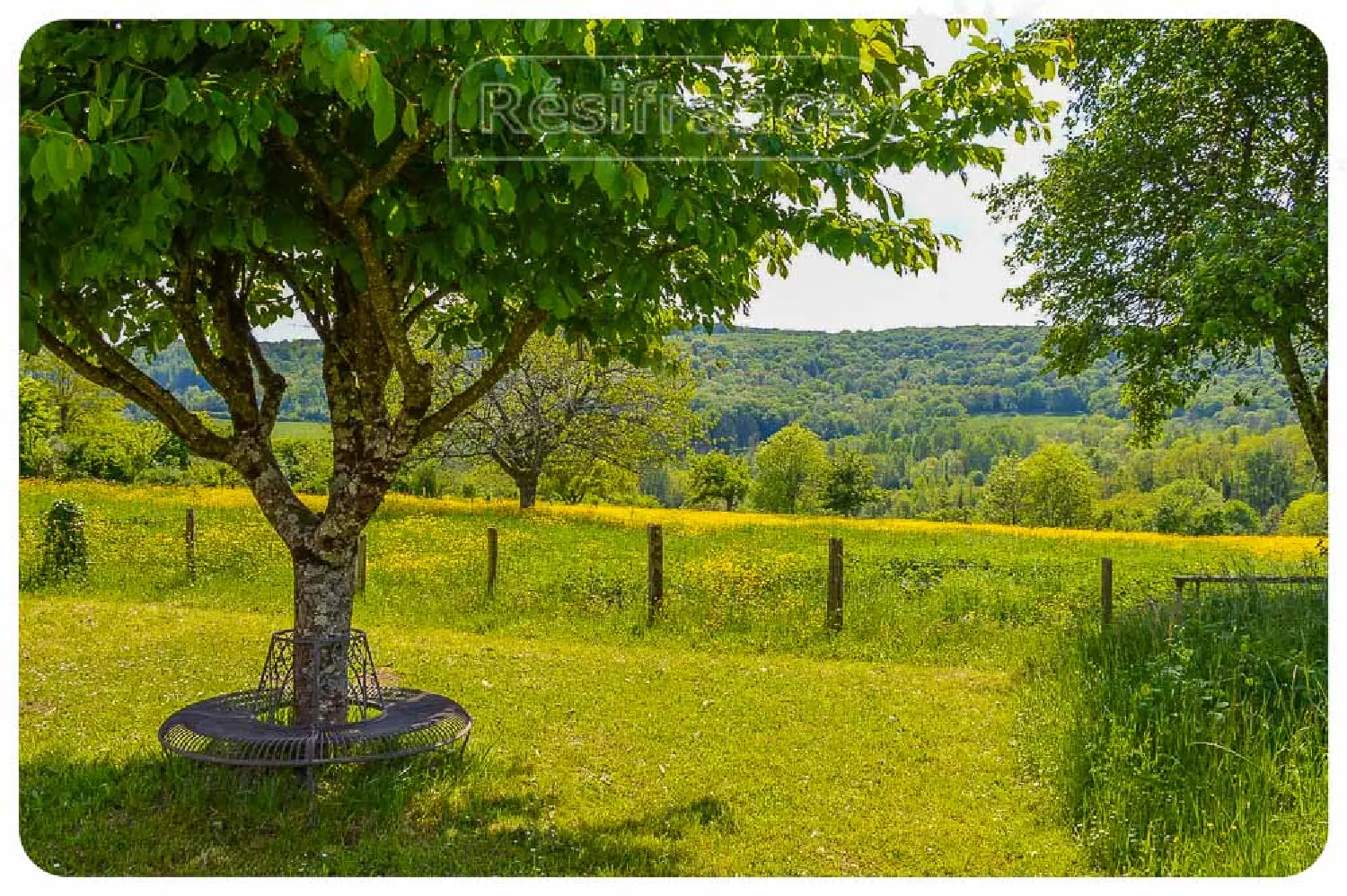  à vendre maison Bourbonne-les-Bains Haute-Marne 5