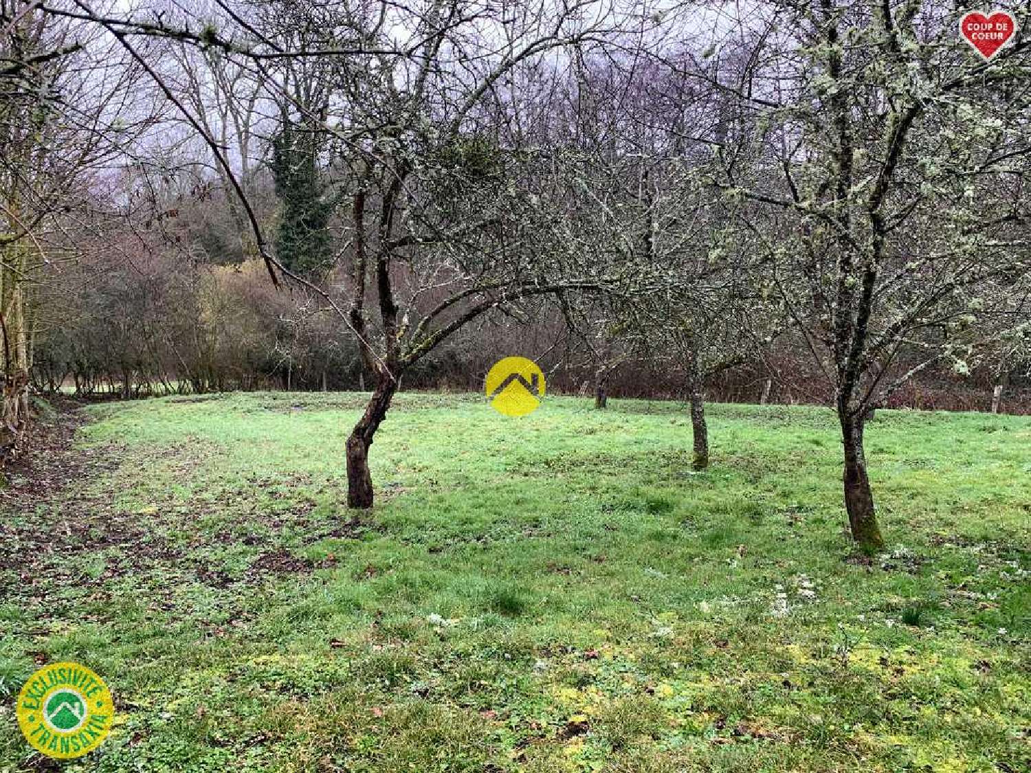  à vendre maison Boussac Creuse 3