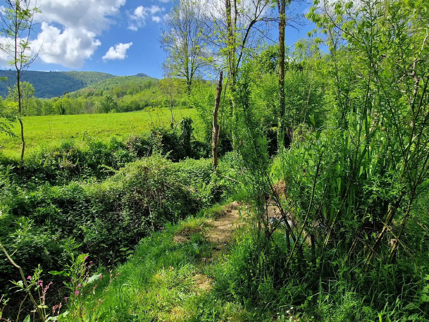  en venta casa Brassac Ariège 2