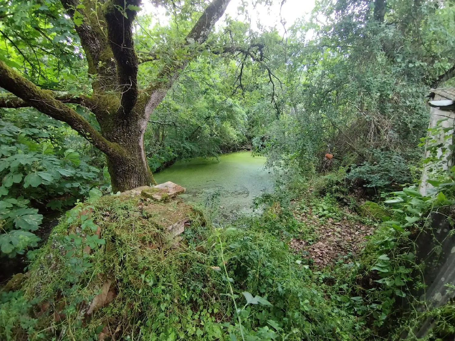  en venta casa Canals Tarn-et-Garonne 7
