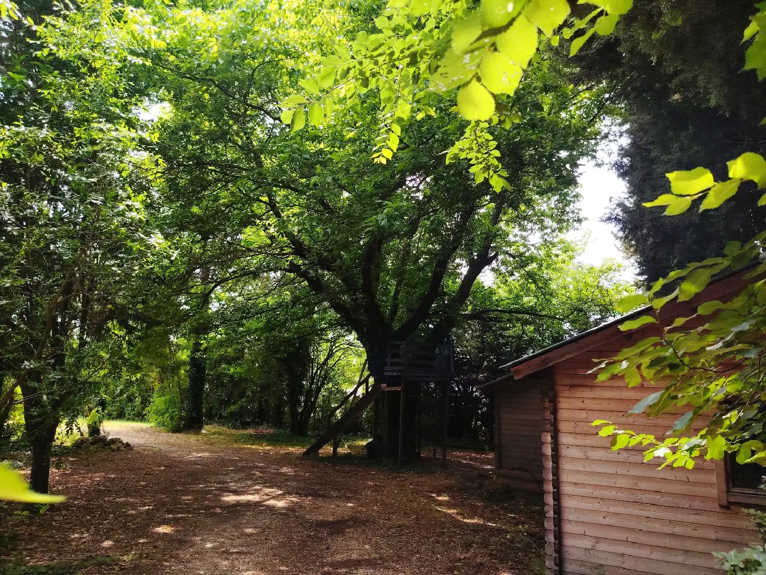 te koop huis Carpentras Vaucluse 6