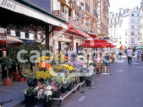 Caudebec-en-Caux Seine-Maritime huis foto 7089213