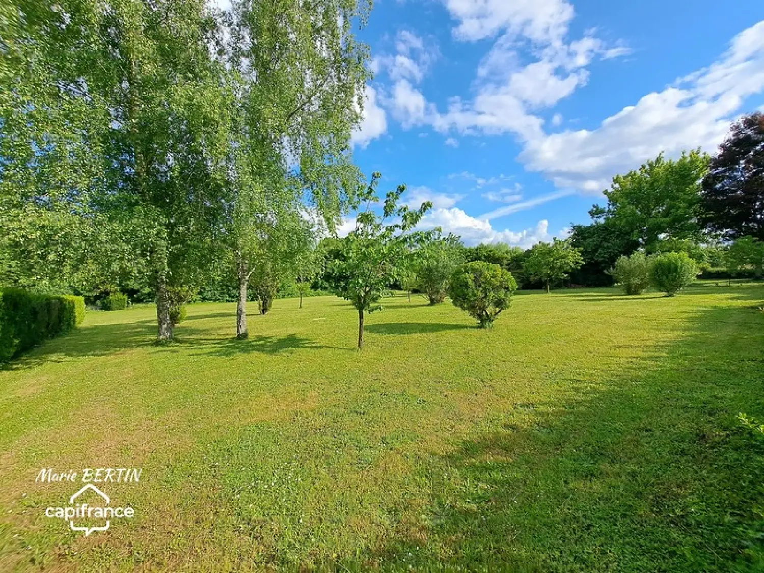  à vendre maison Celles-sur-Belle Deux-Sèvres 3