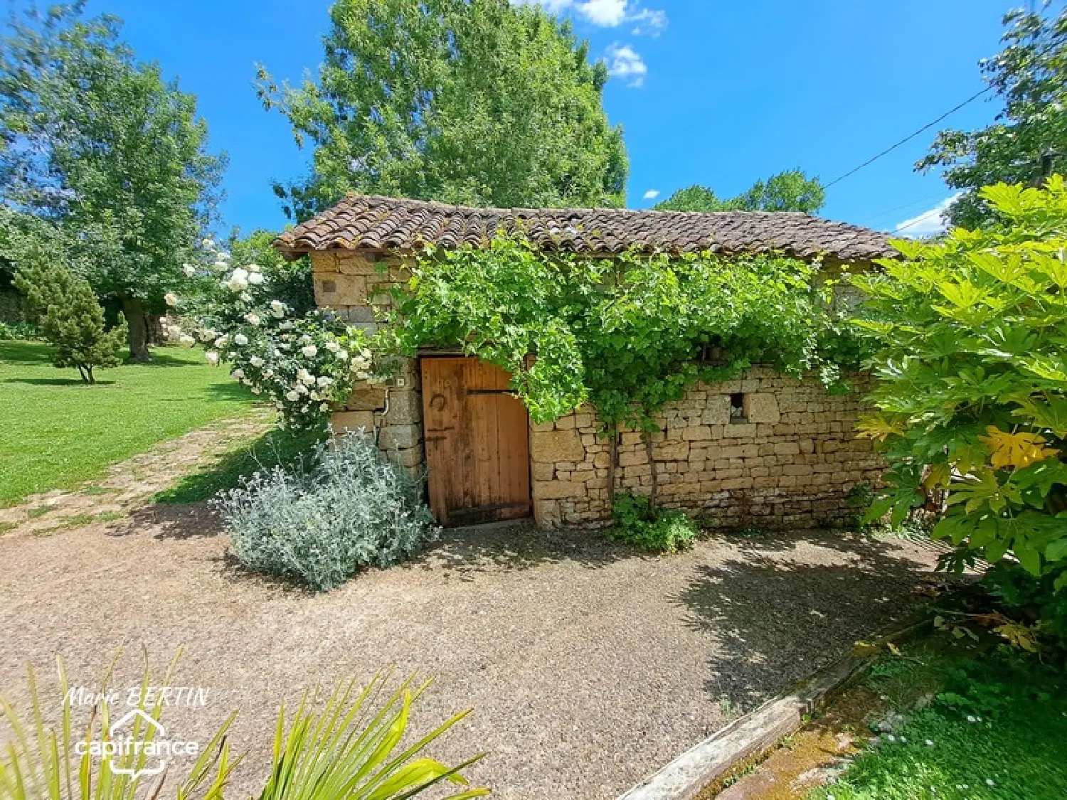 te koop huis Celles-sur-Belle Deux-Sèvres 3