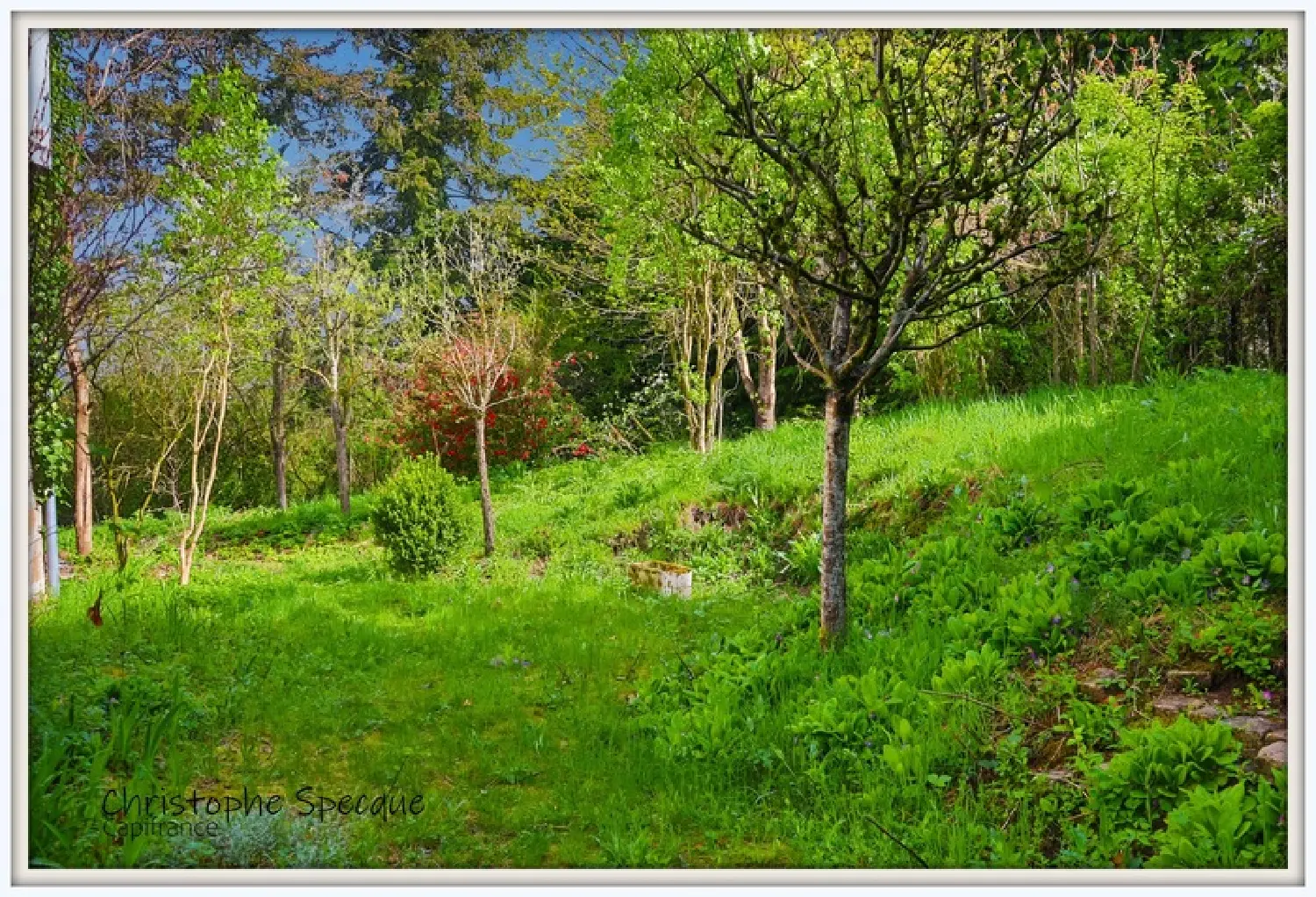  en venta casa Celles-sur-Durolle Puy-de-Dôme 5