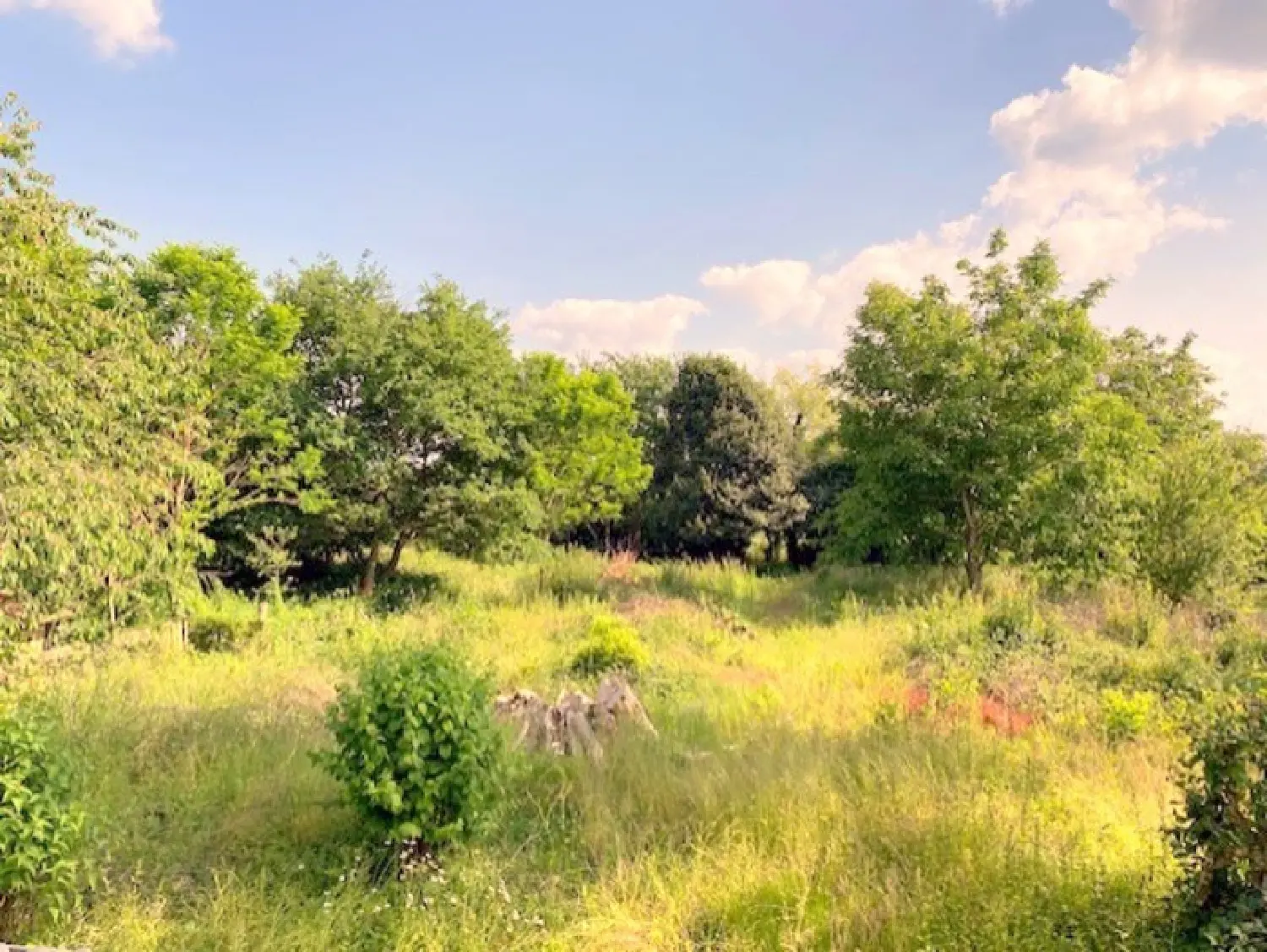  en venta casa Cerisiers Yonne 2