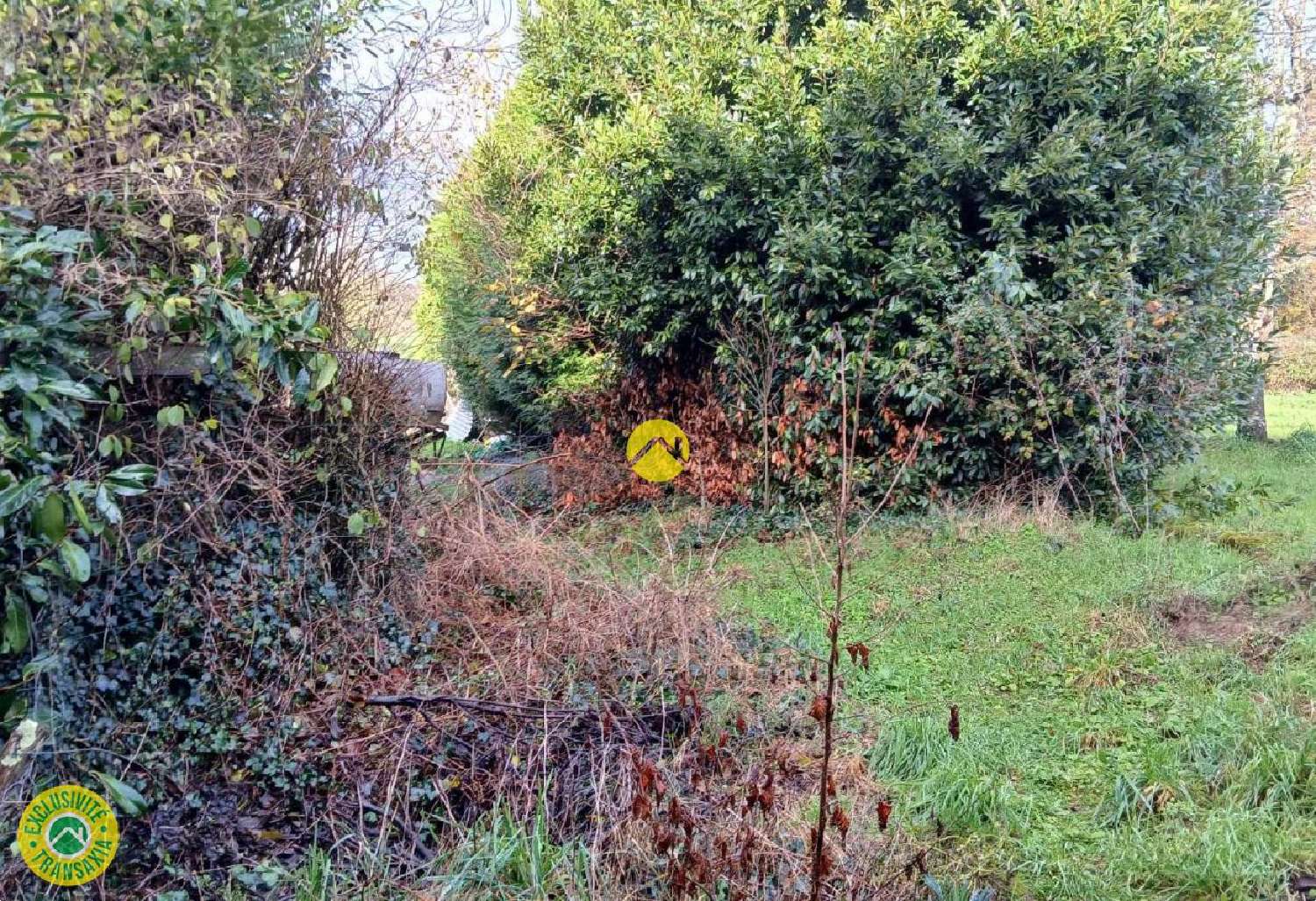  for sale house Chamborand Creuse 3
