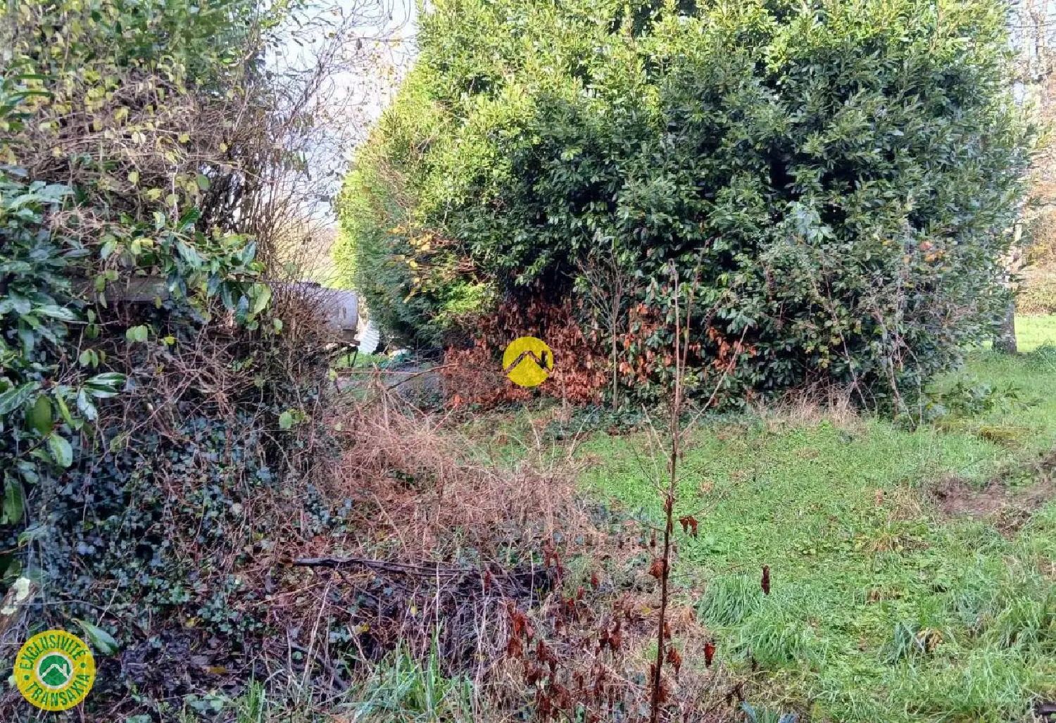  à vendre maison Chamborand Creuse 3