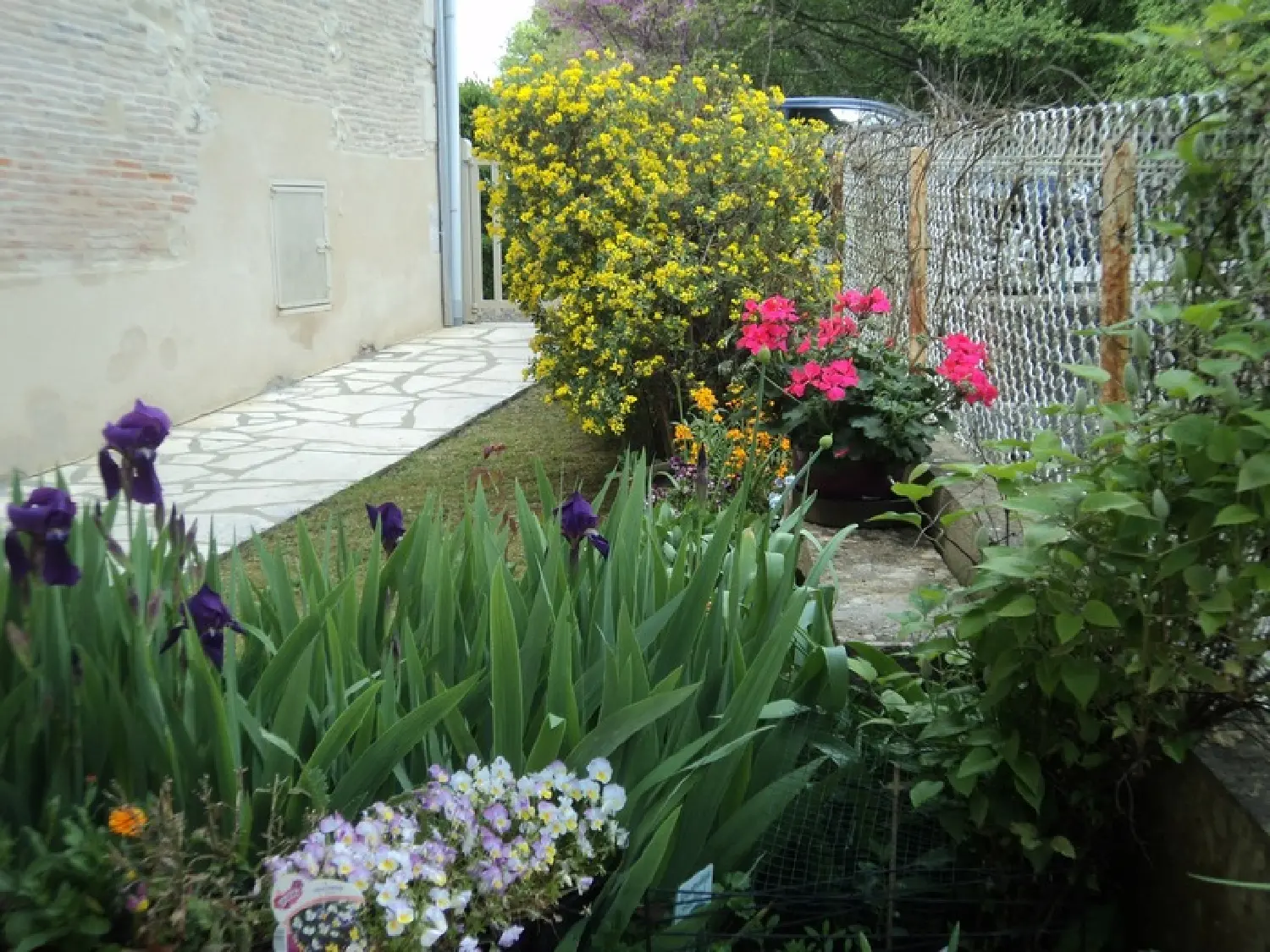  en venta casa Champagne-Mouton Charente 4