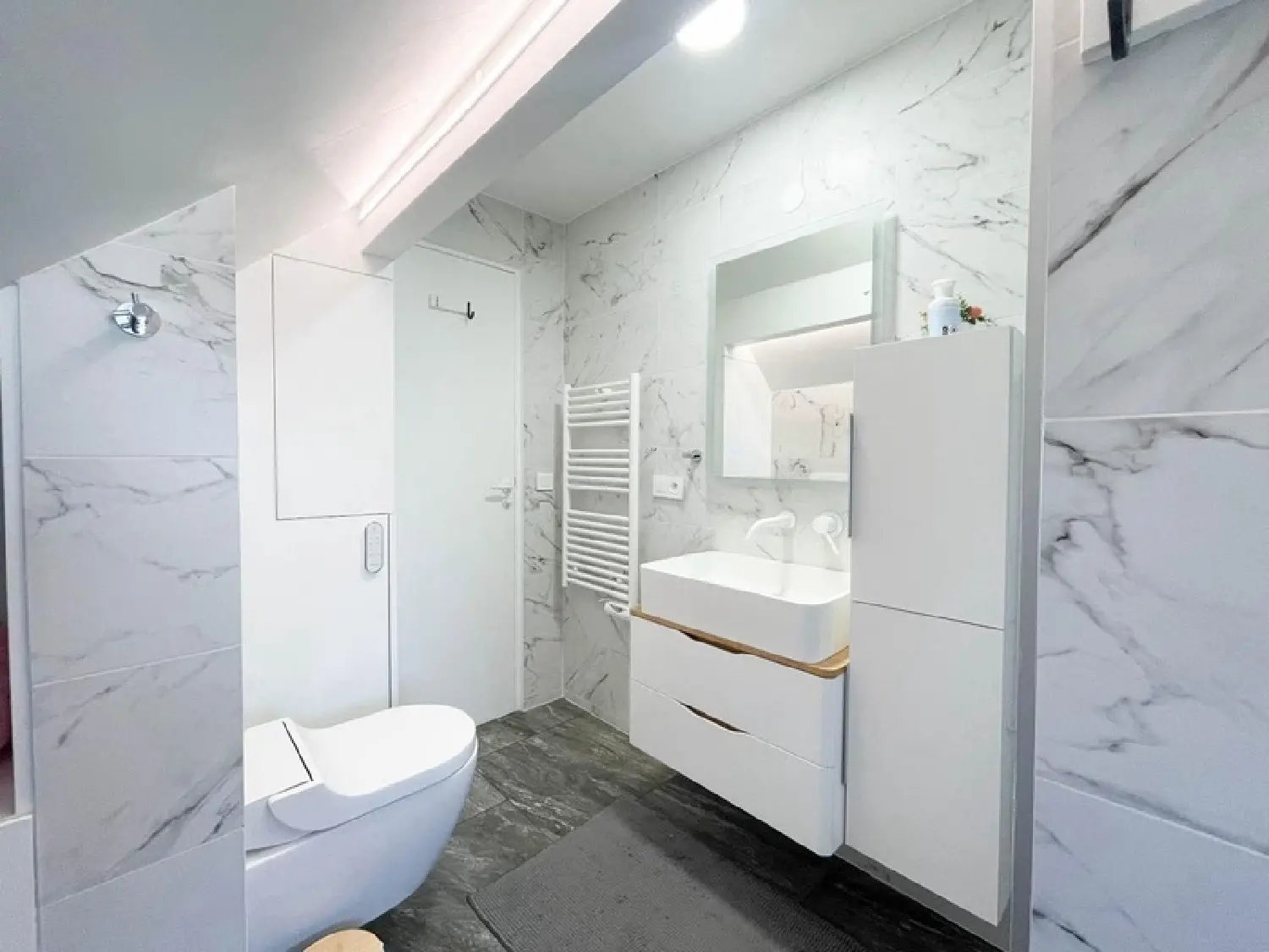  en venta casa Champigny-sur-Marne Val-de-Marne 5