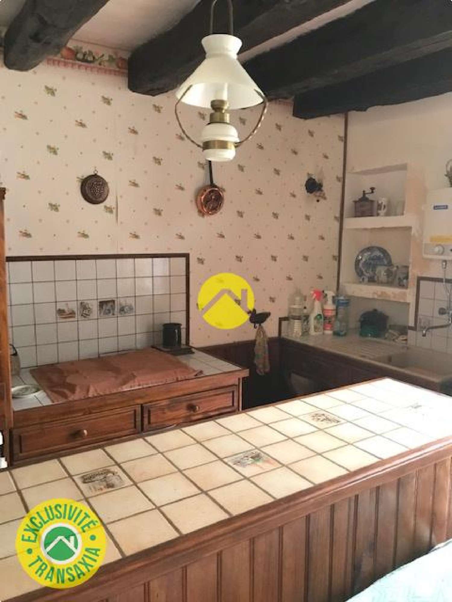  en venta casa Châteauneuf-sur-Cher Cher 7