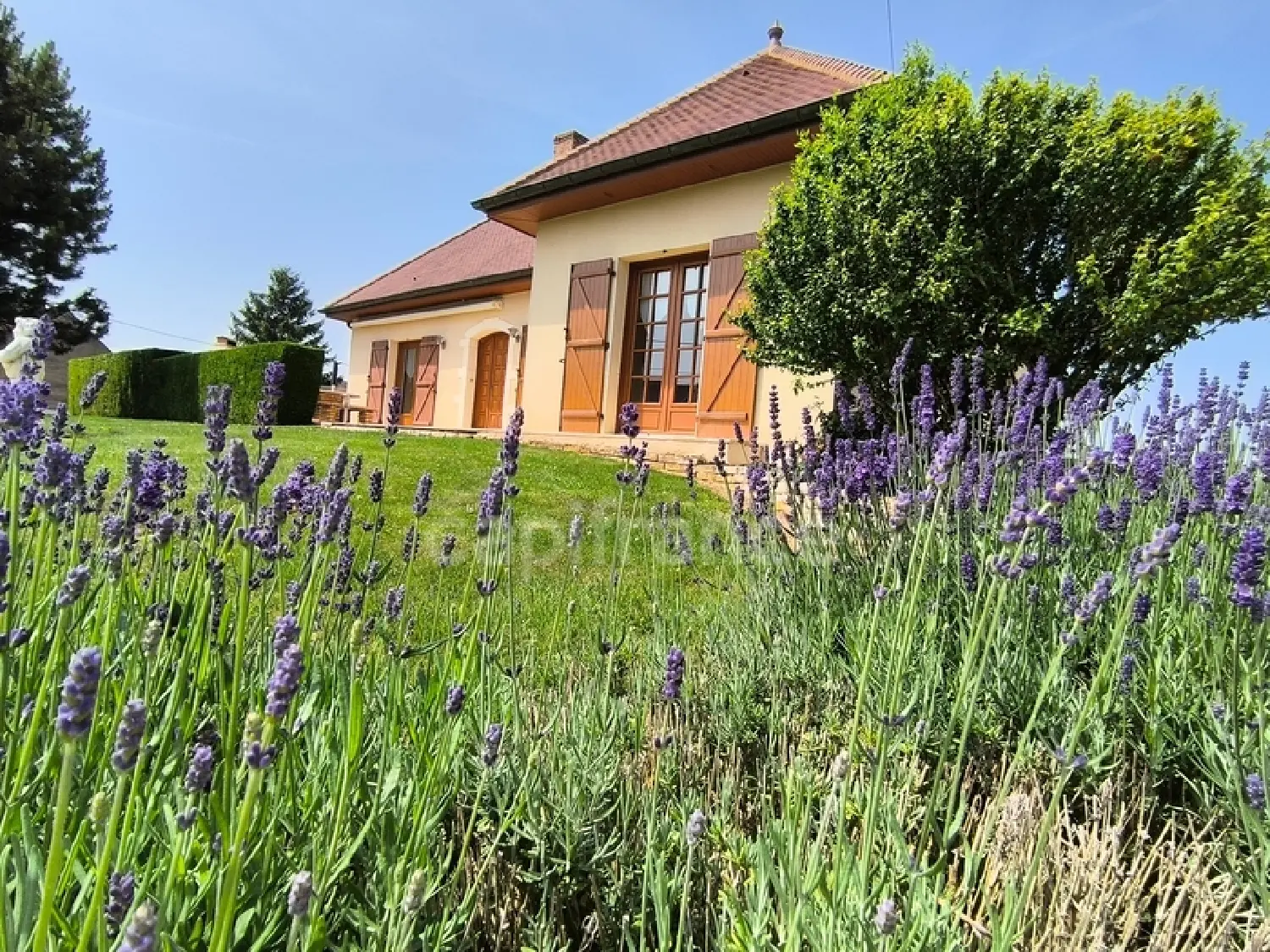  te koop huis Chaussin Jura 8