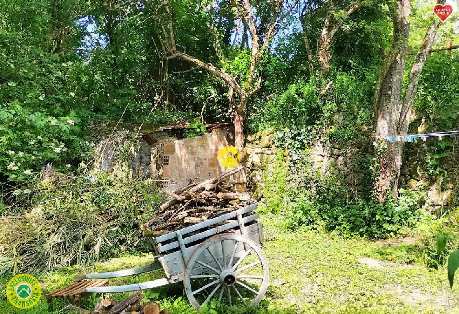  en venta casa Chénérailles Creuse 5