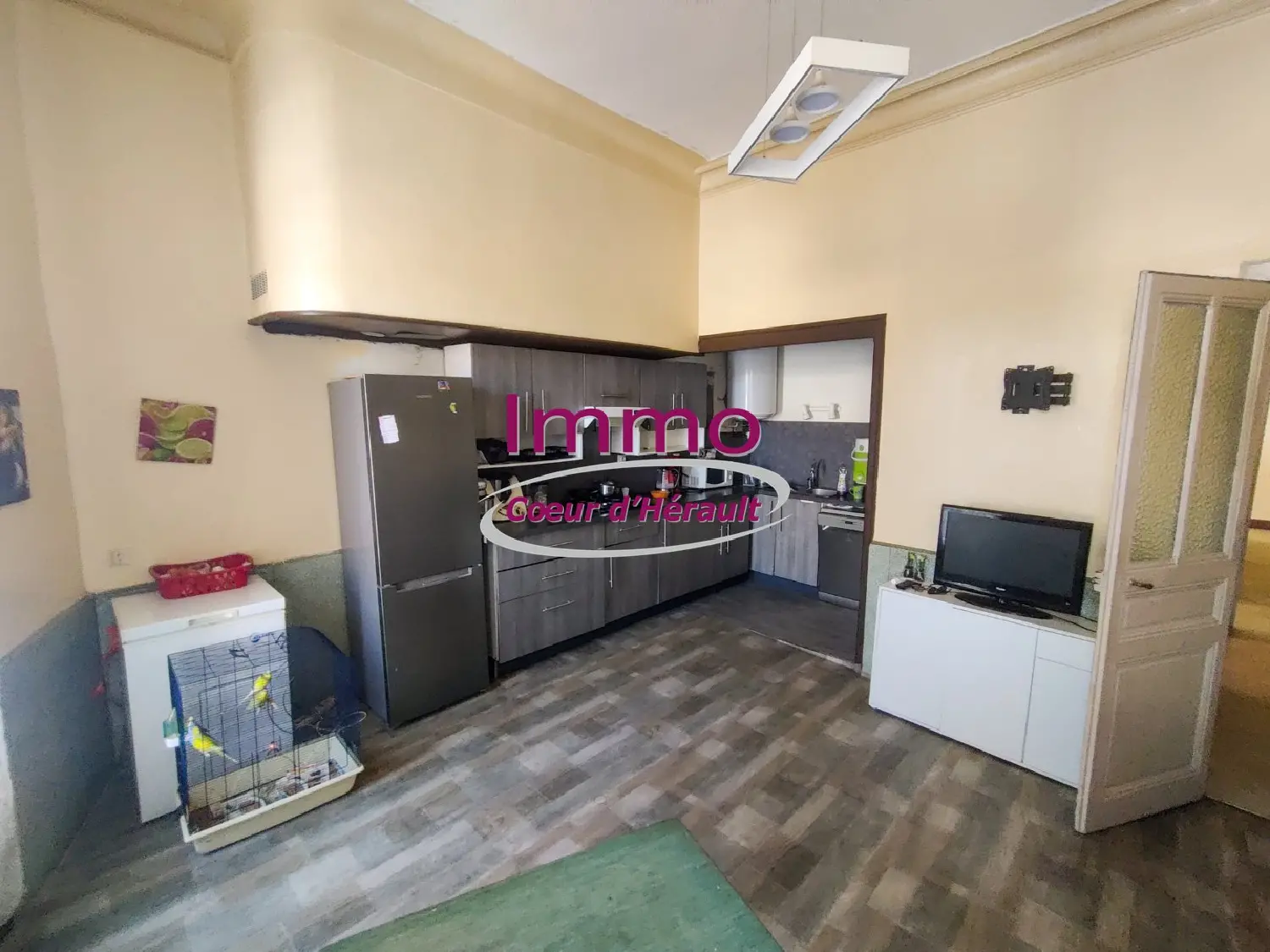  à vendre maison Clermont-l'Hérault Hérault 8