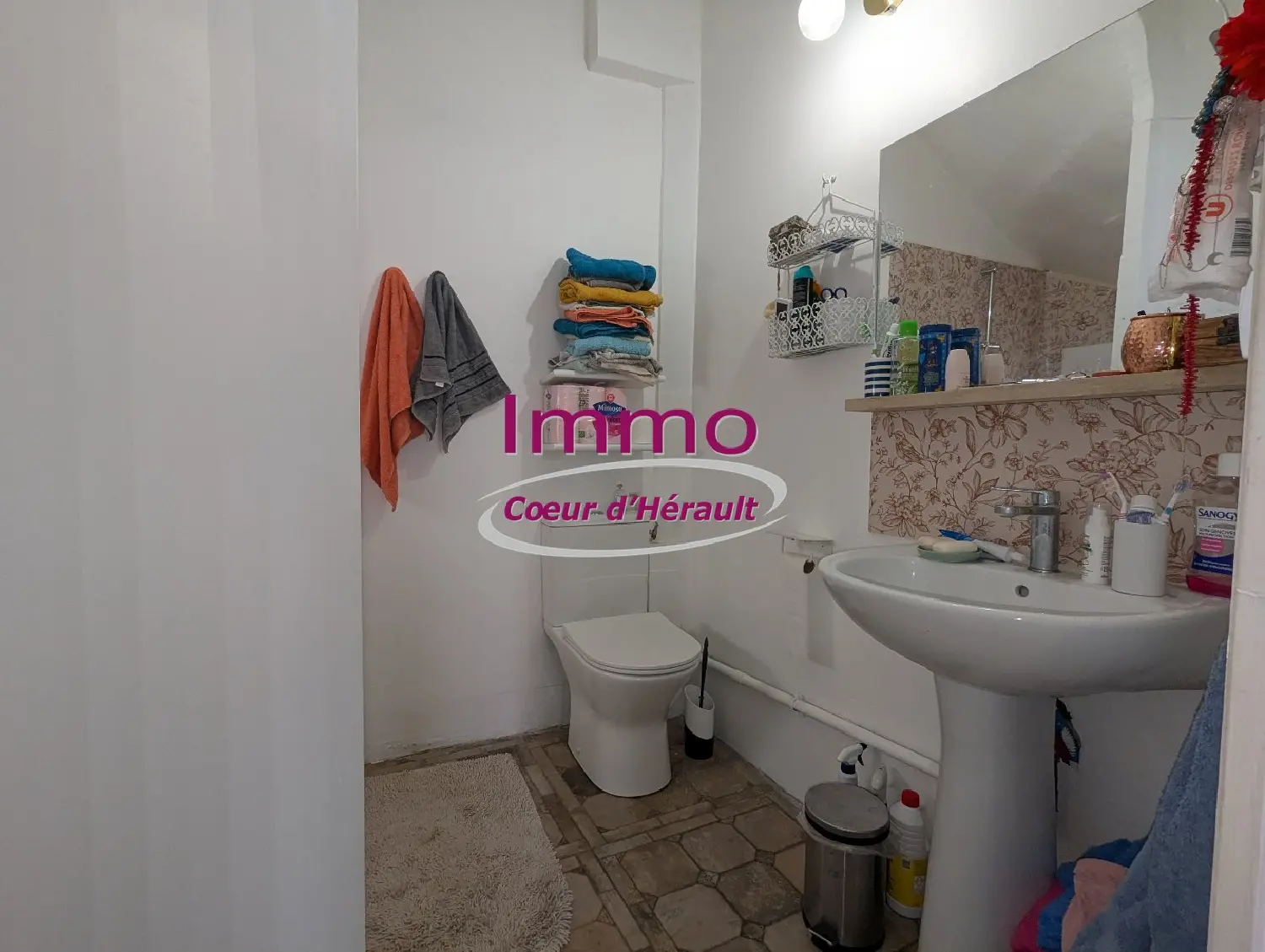  à vendre maison Clermont-l'Hérault Hérault 6
