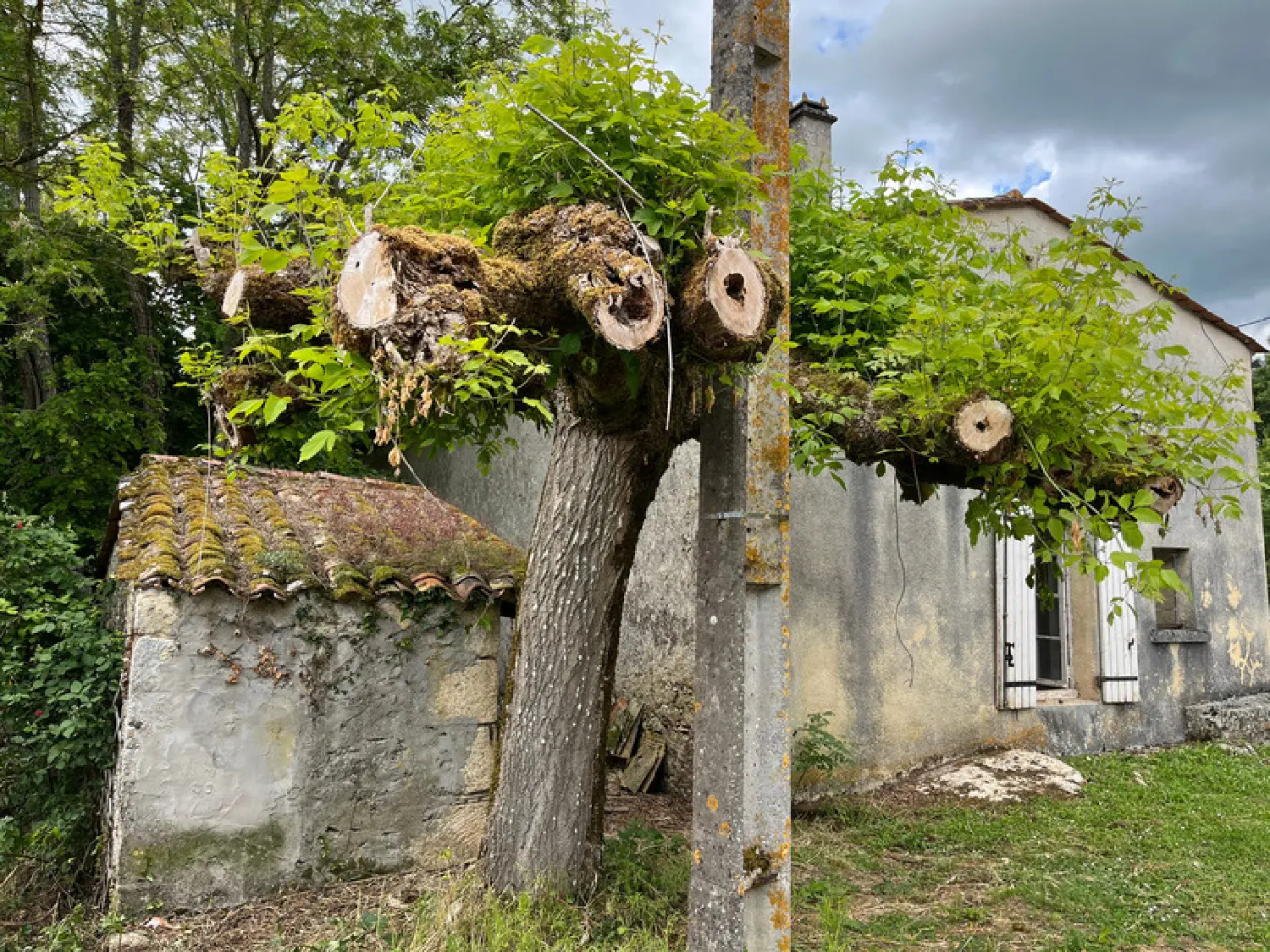  à vendre maison Cleyrac Gironde 2